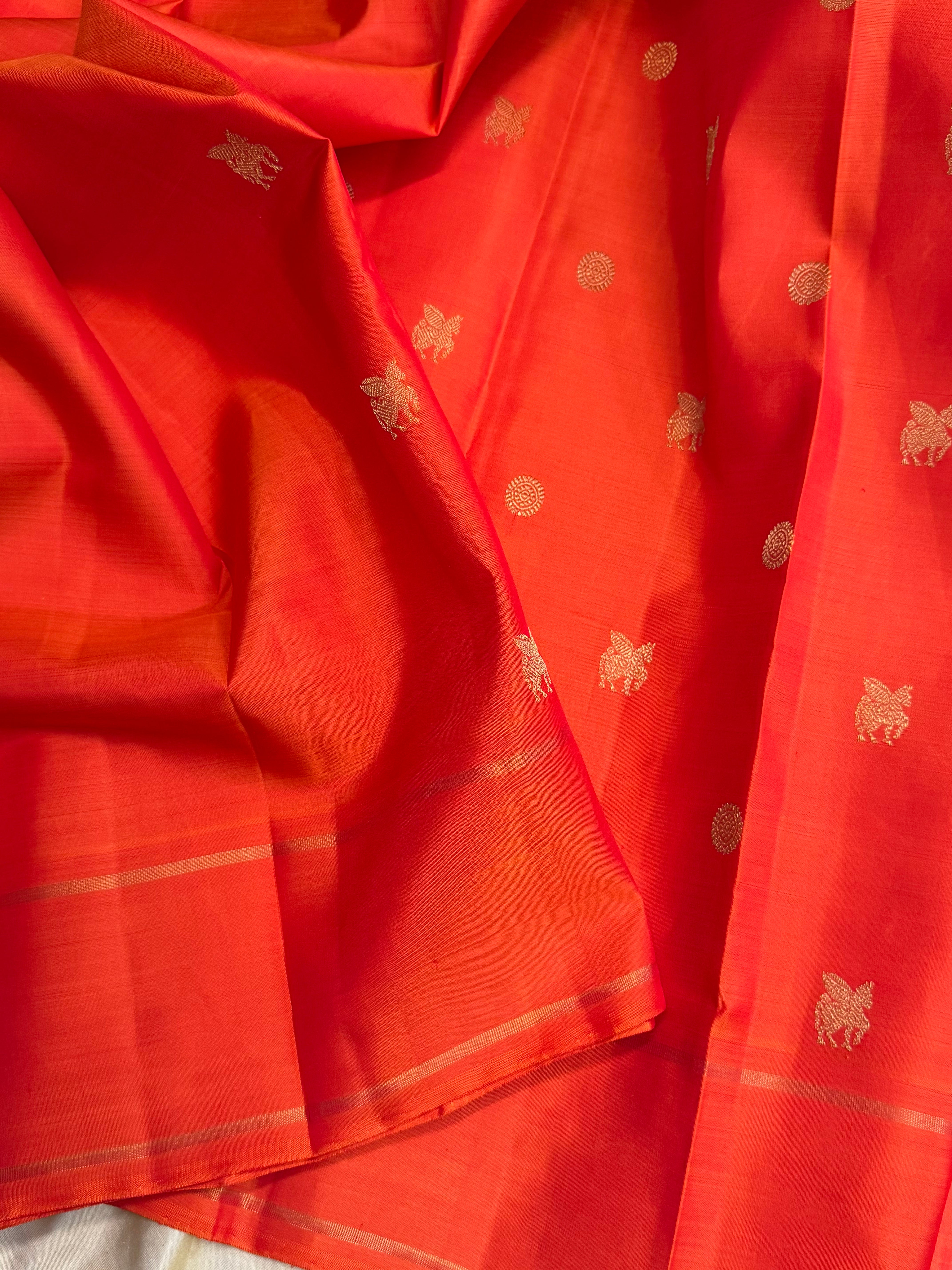 Orange Retta pet / simple kanjipuram silk