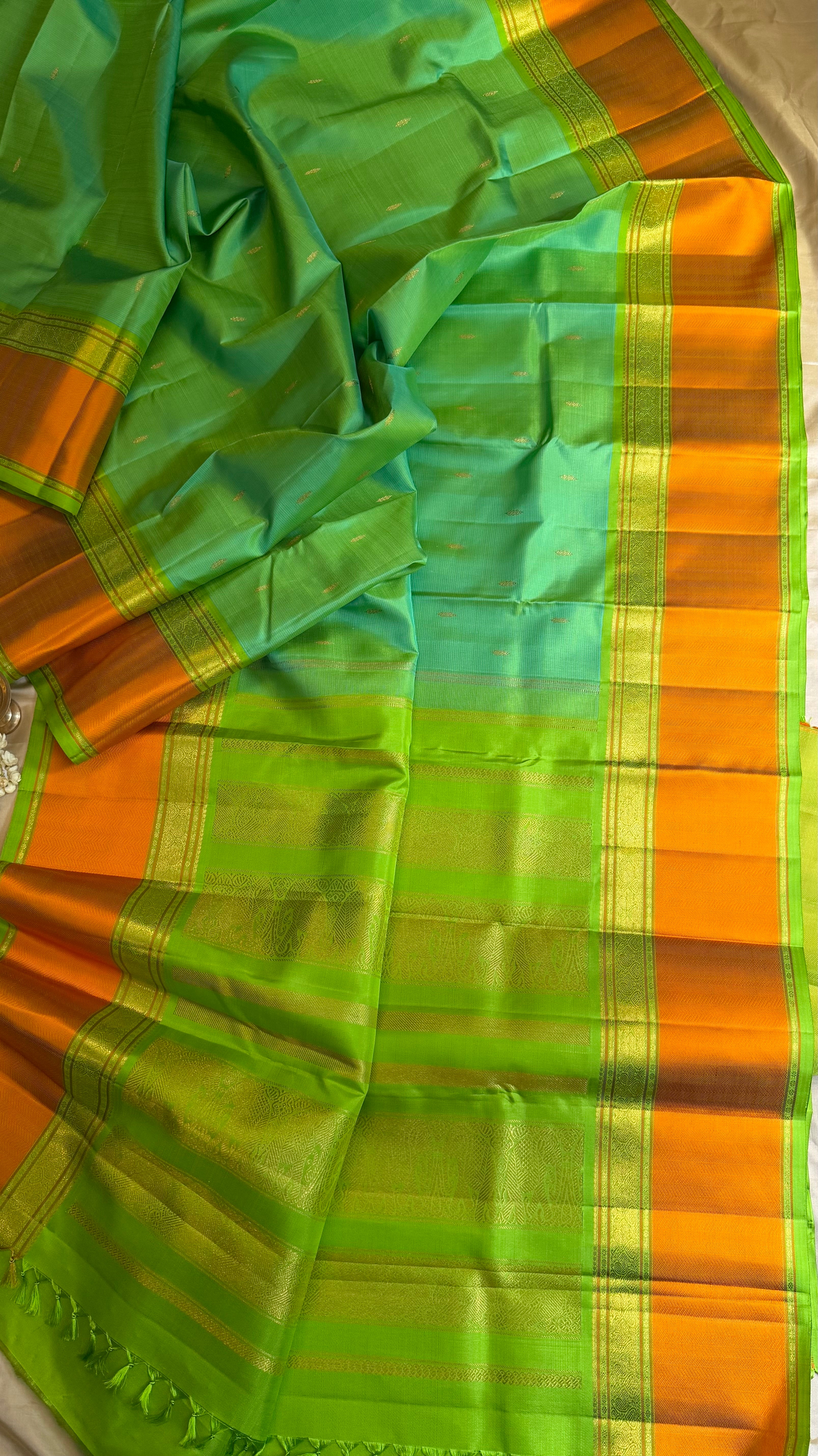 Master weaver - Green shot parrot green / Kanjipuram Silk