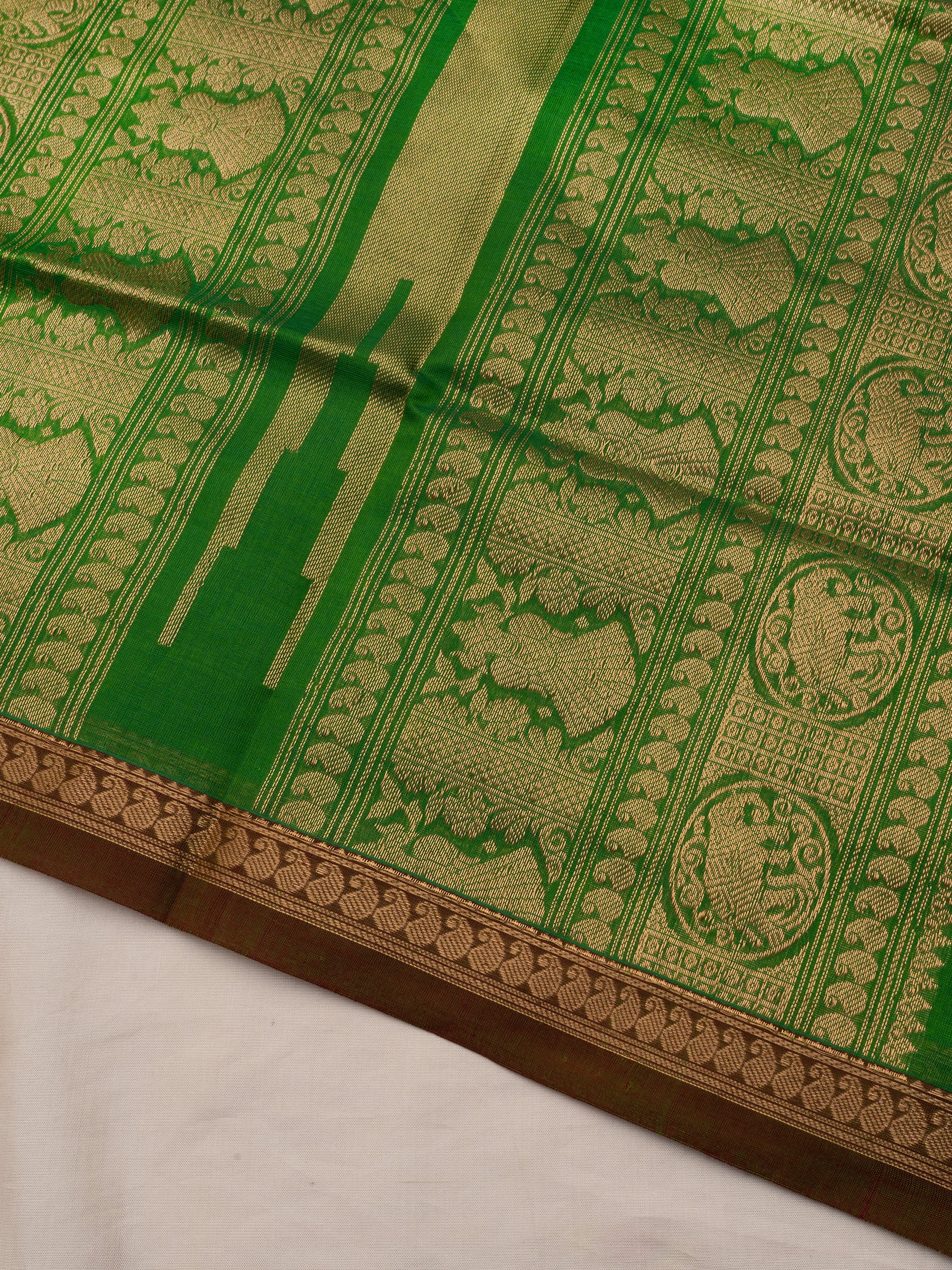 Parrot green small border/ Silk Cotton Saree CLSA10211