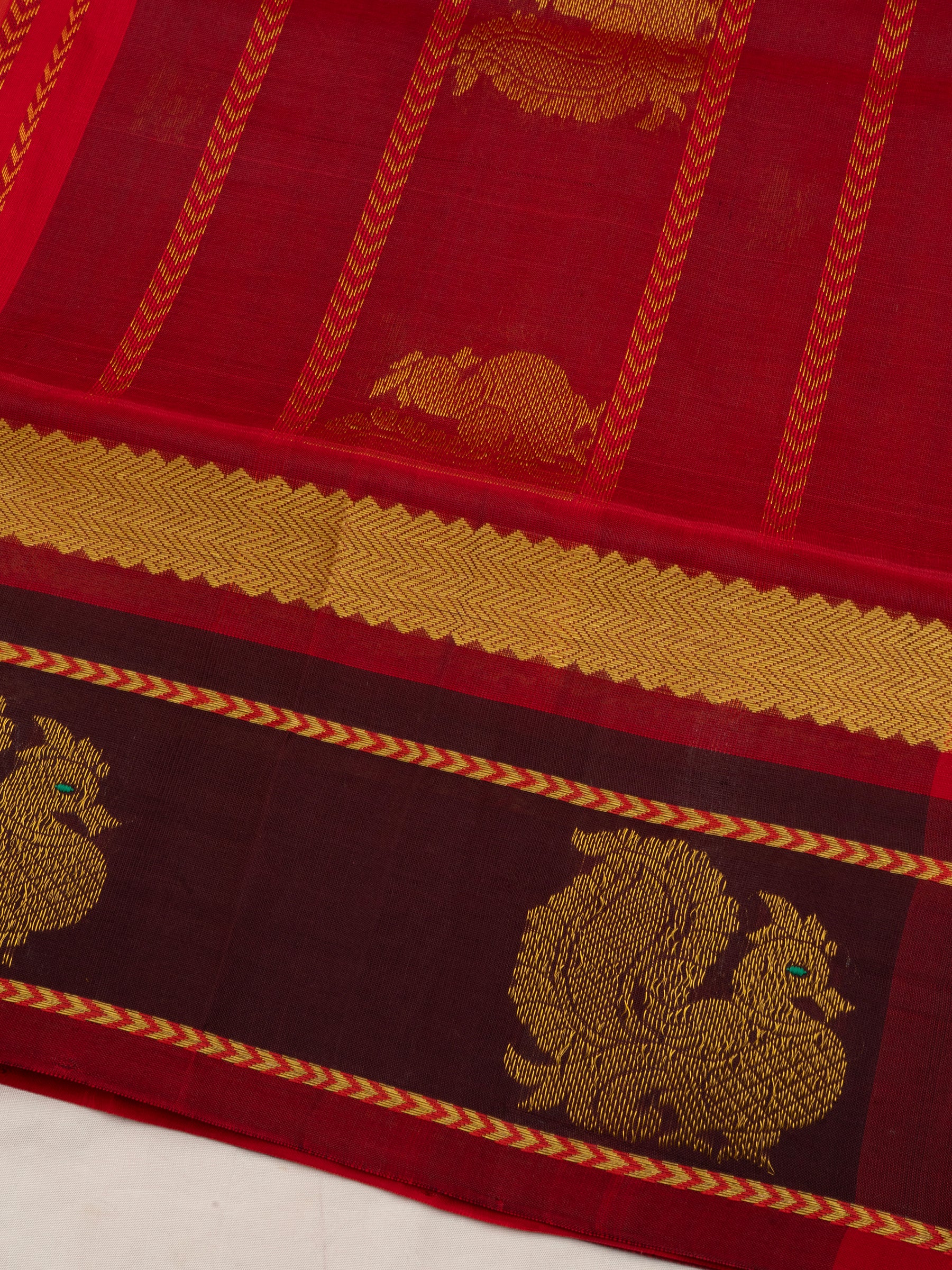 Silk Cotton Saree CLSA10443