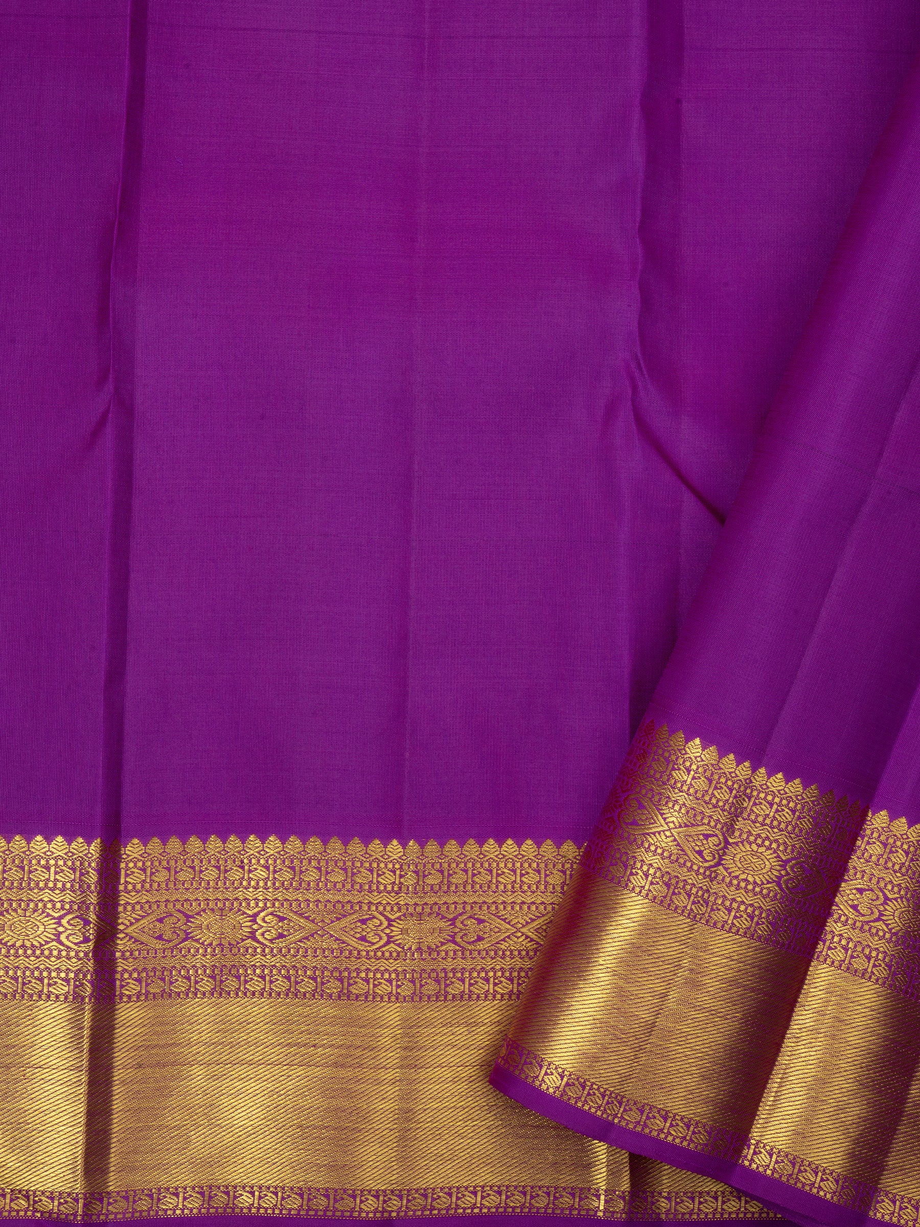 Purple Beñaras pet / Arani Silk Saree CLSA6702