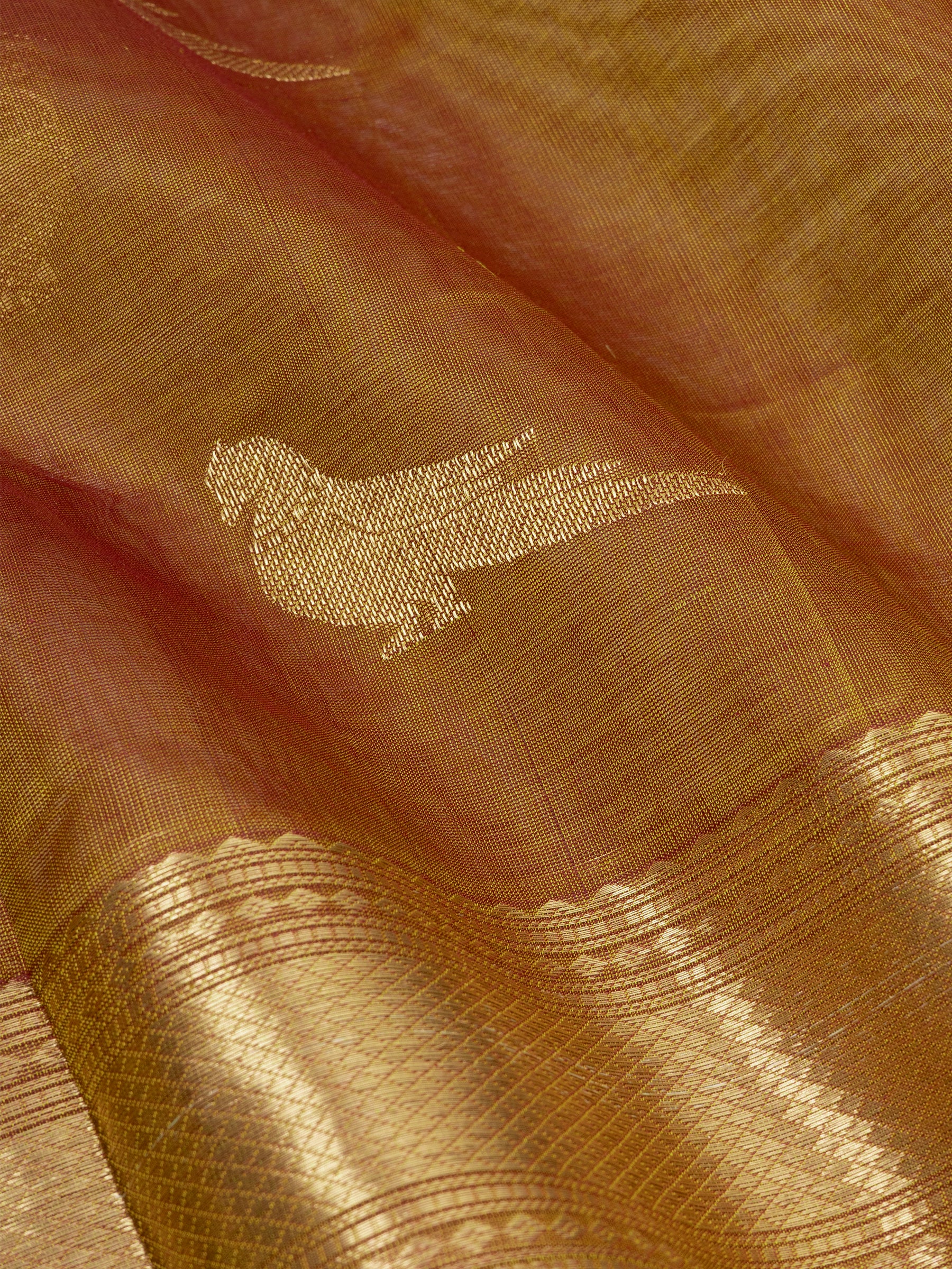 Golden mustard body kili butta / Silk Cotton Saree CLSA9710