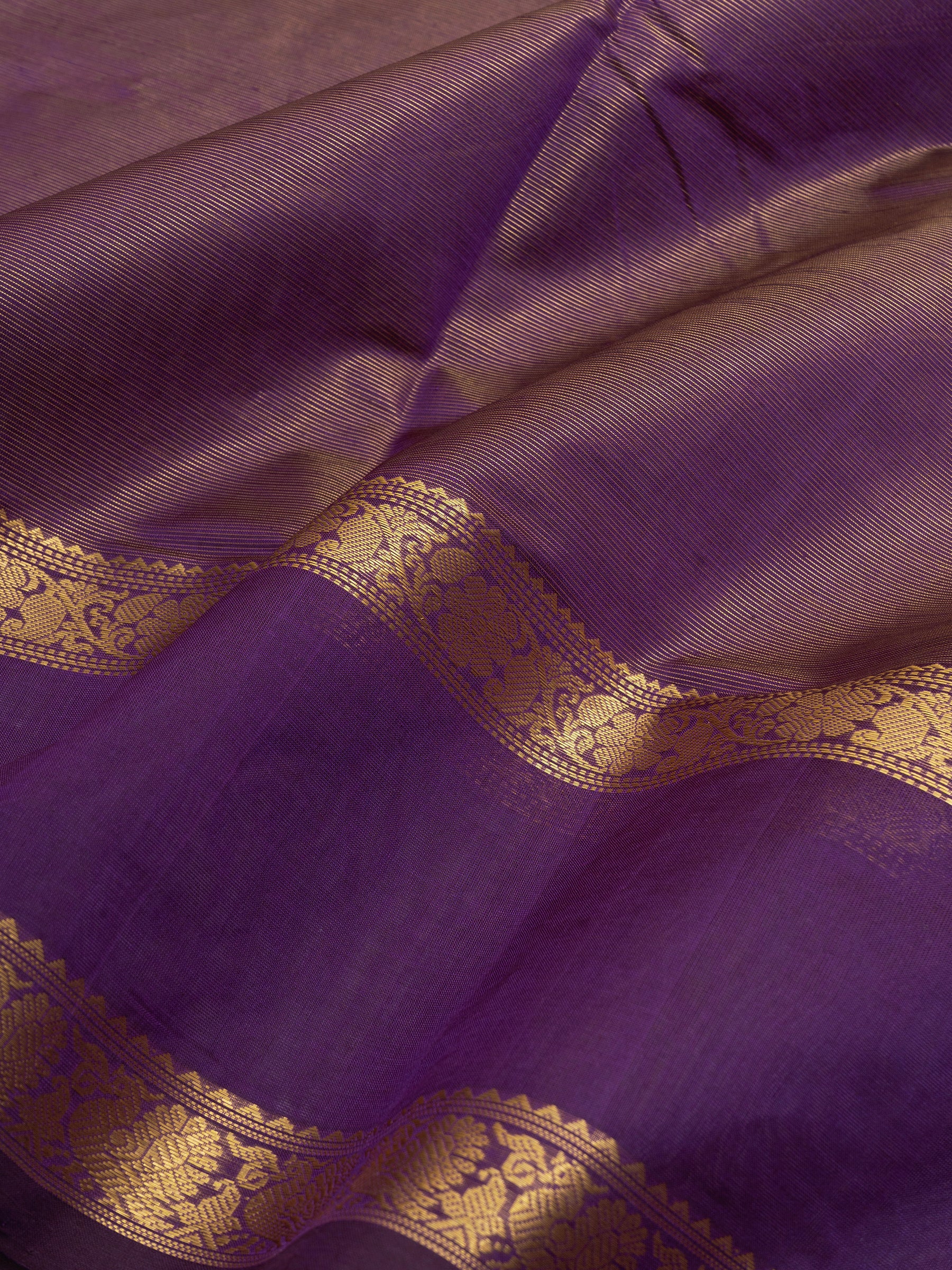 Silk Cotton Saree CLSA8639