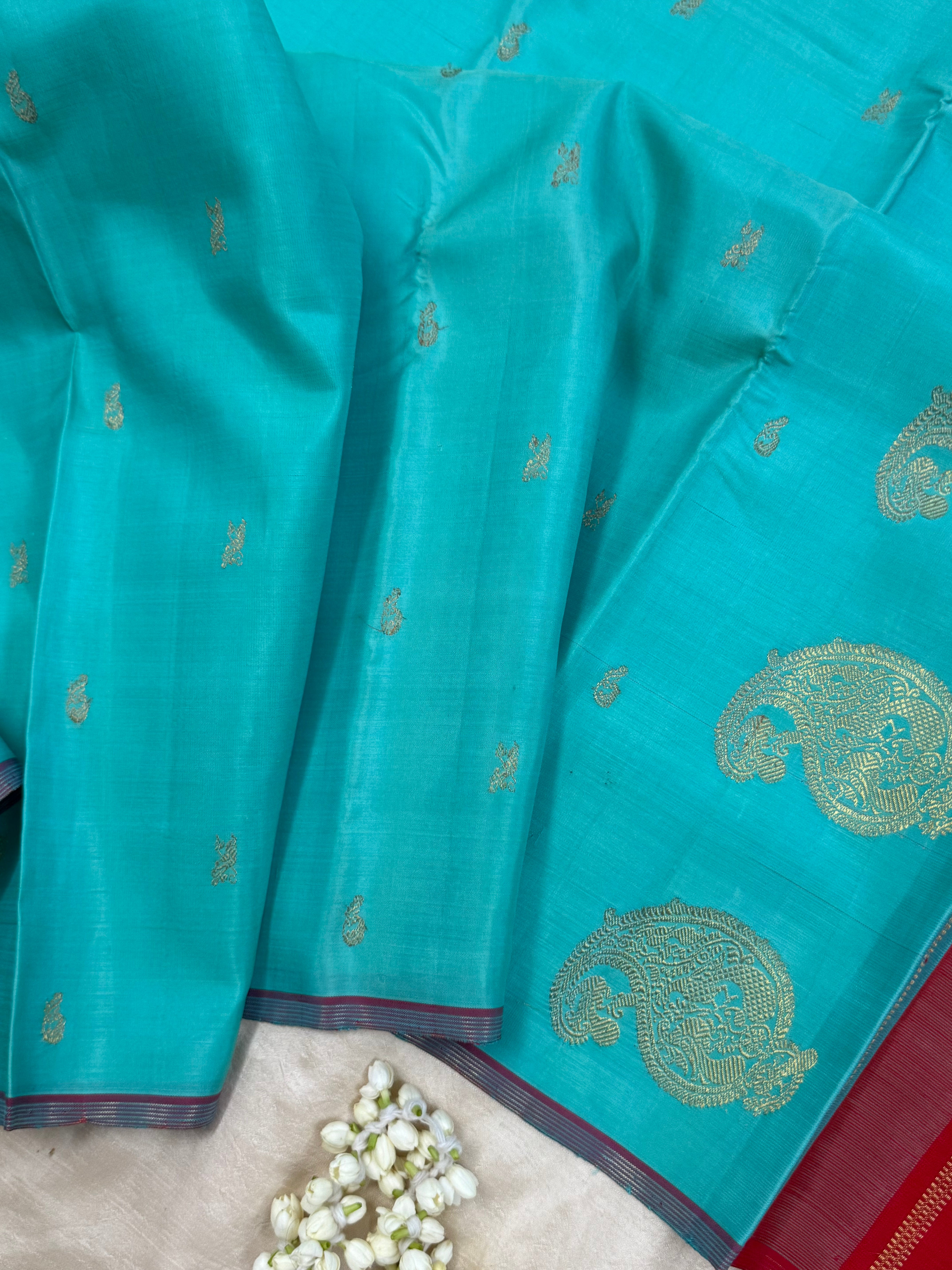 Turquoise blue / Kanjipuram silk