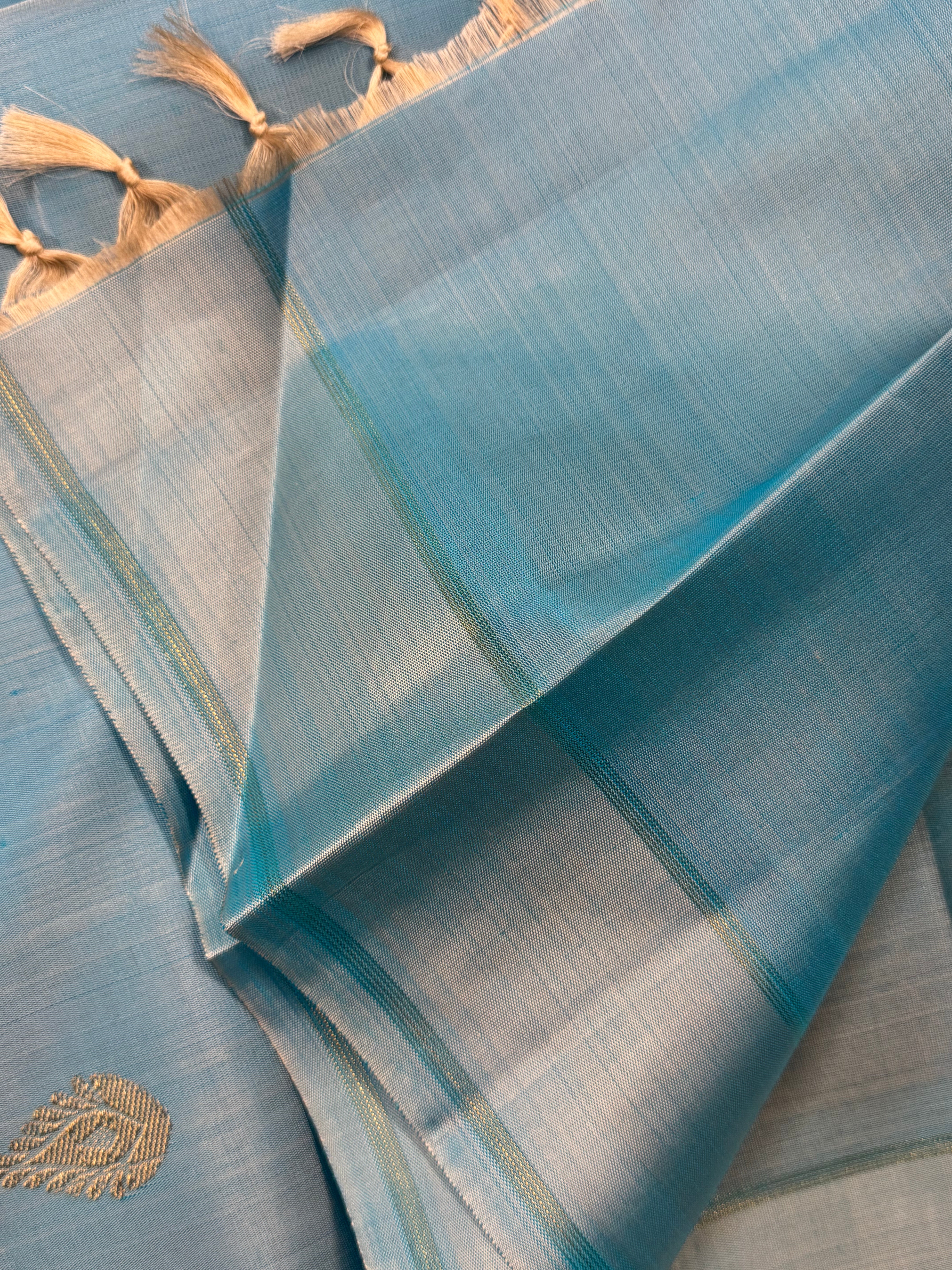 Powder blue yaanai pet / kanjipuram silk