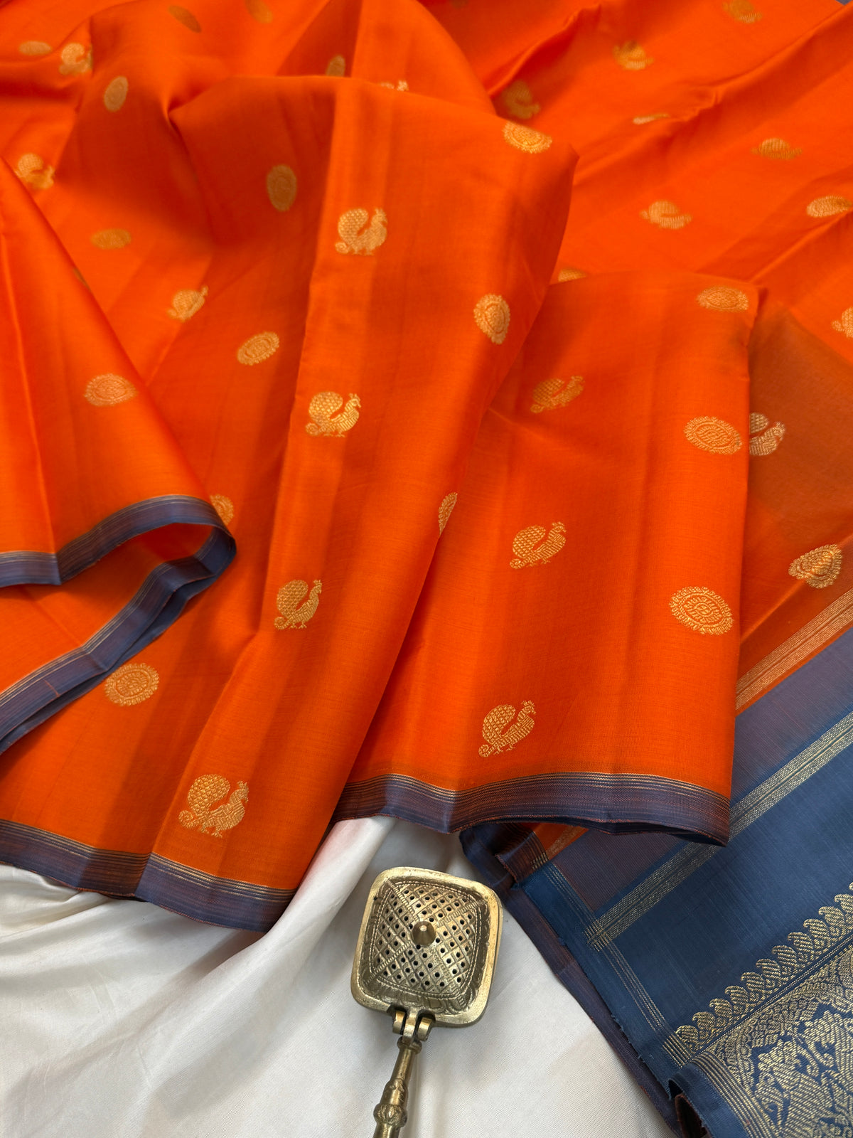 Organza / pure Zari Kanjipuram clsa12514