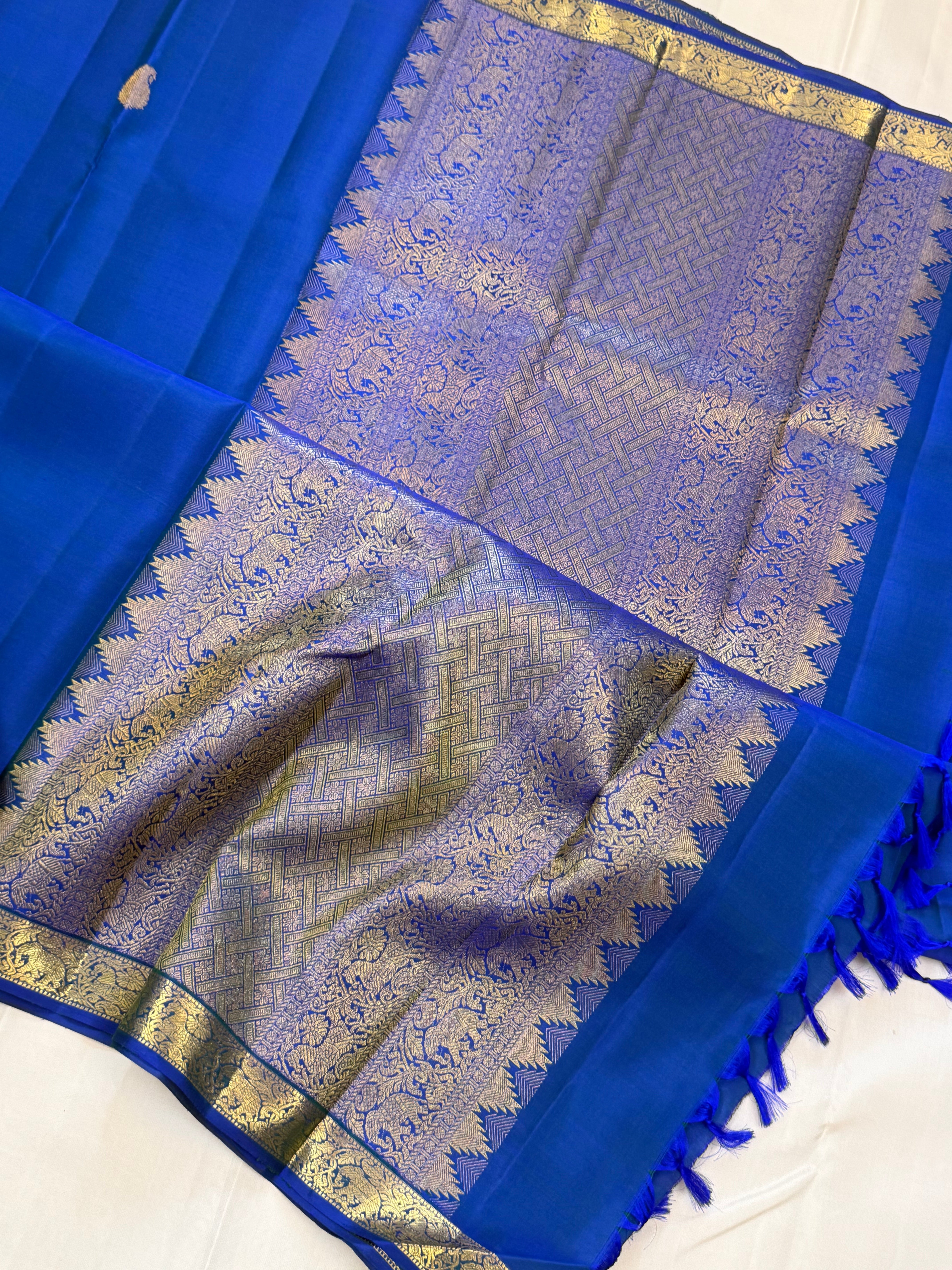 Ms blue 2g simple Kanjipuram silk CLSA11009