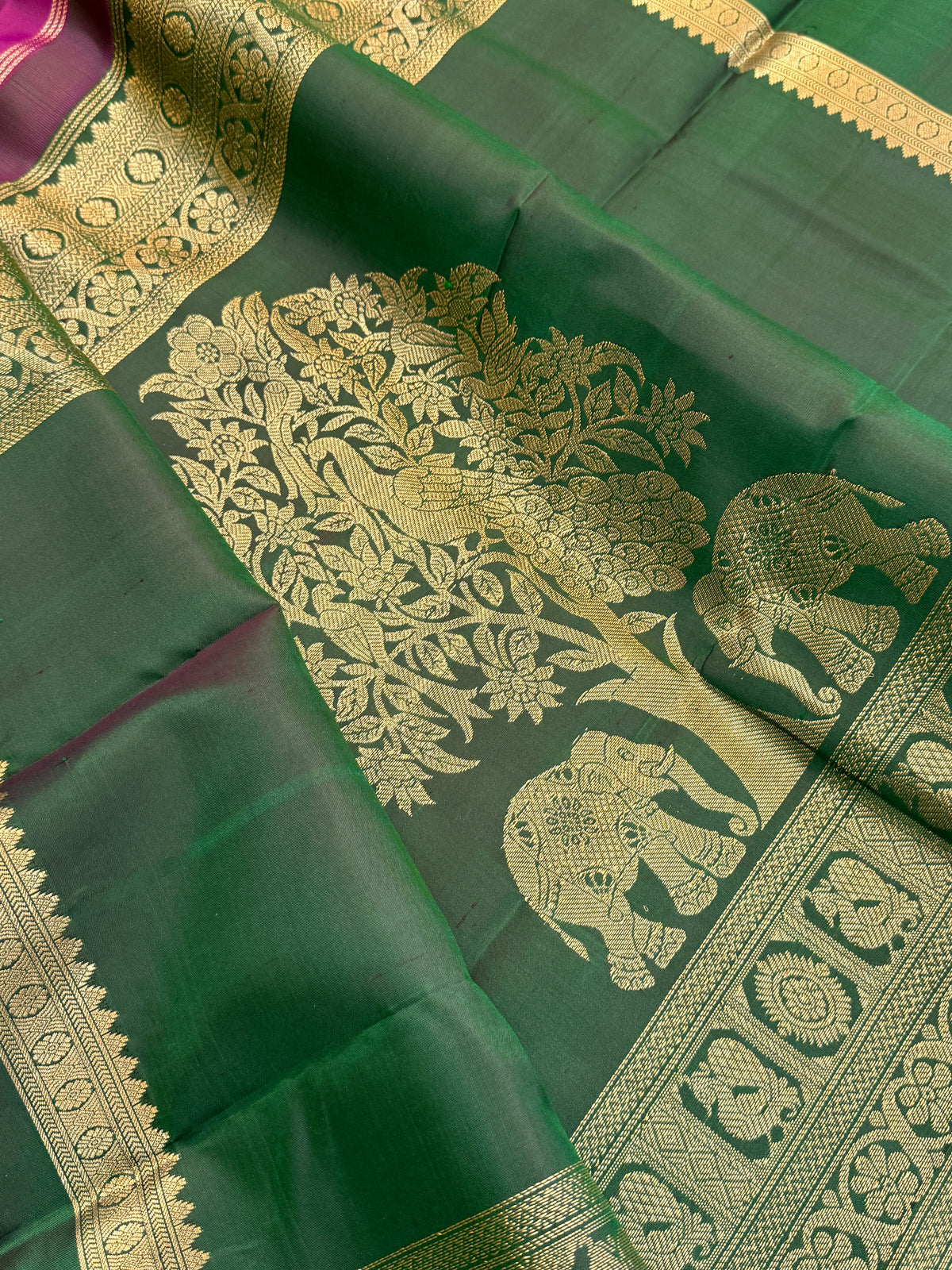 Special edition Majenta with Zari Butta silk saree/clsa 12400