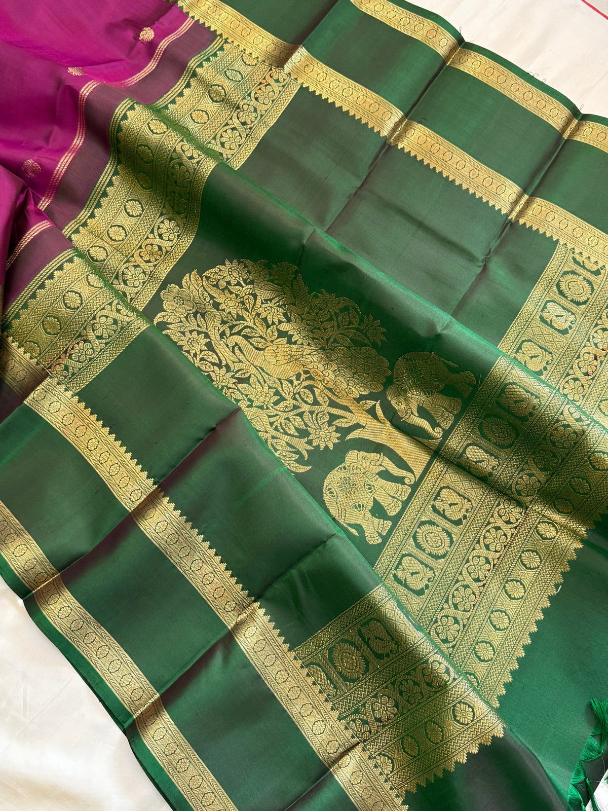 Special edition Majenta with Zari Butta silk saree/clsa 12400