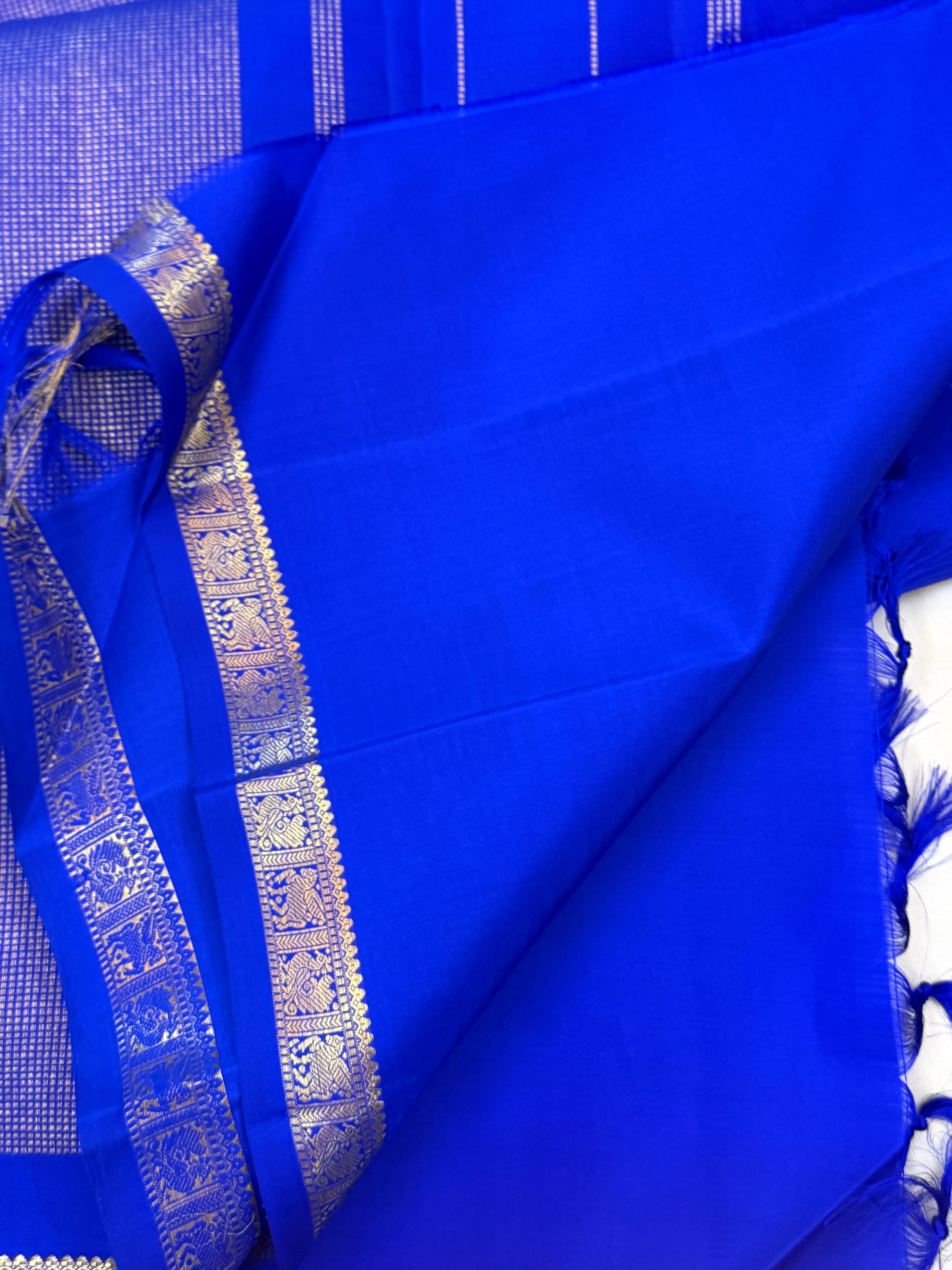 Ms blue Kili border 2g Kanjipuram silk CLSA11020