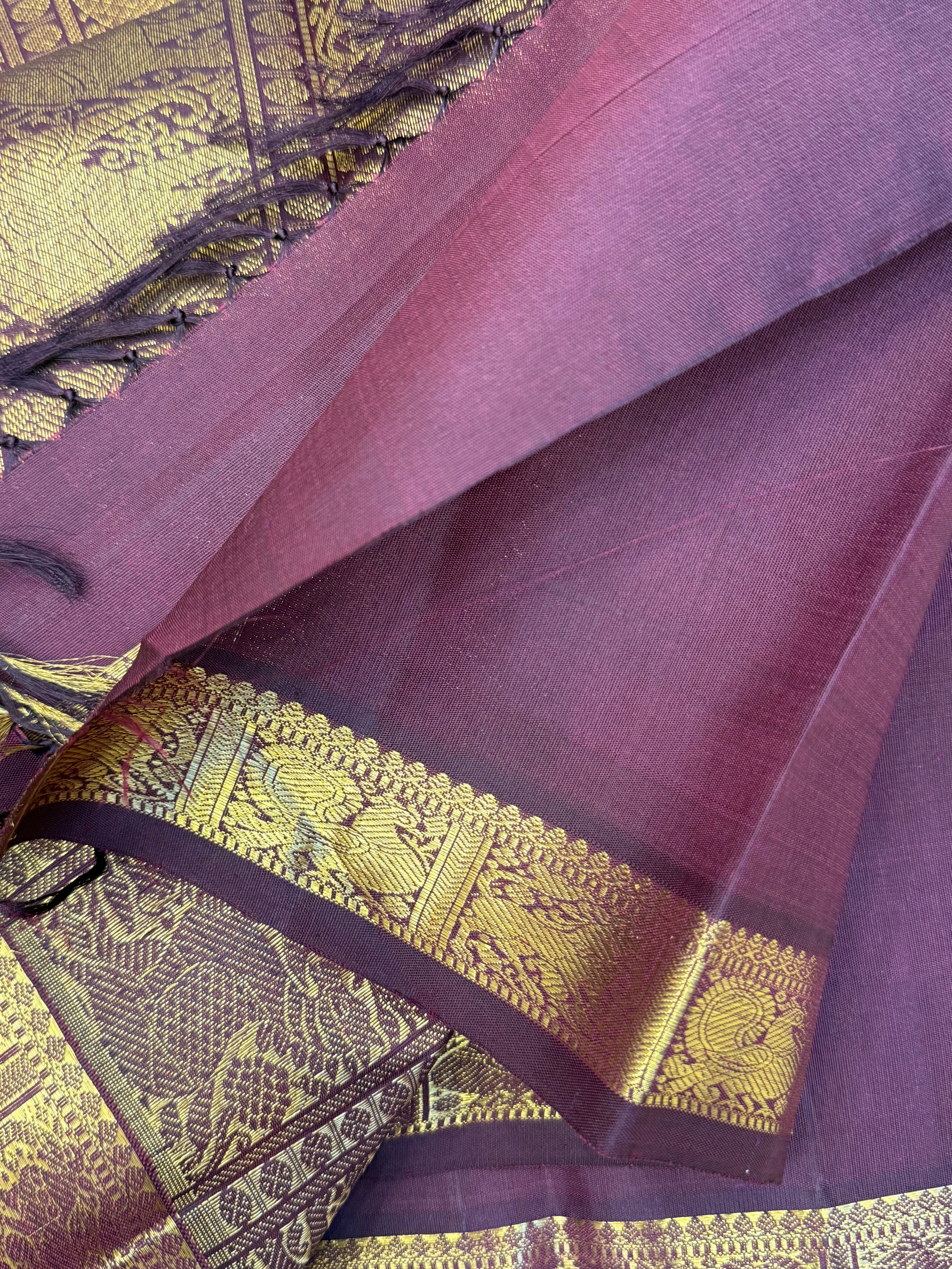 Kalyani: Paaku small border / kanjipuram silk