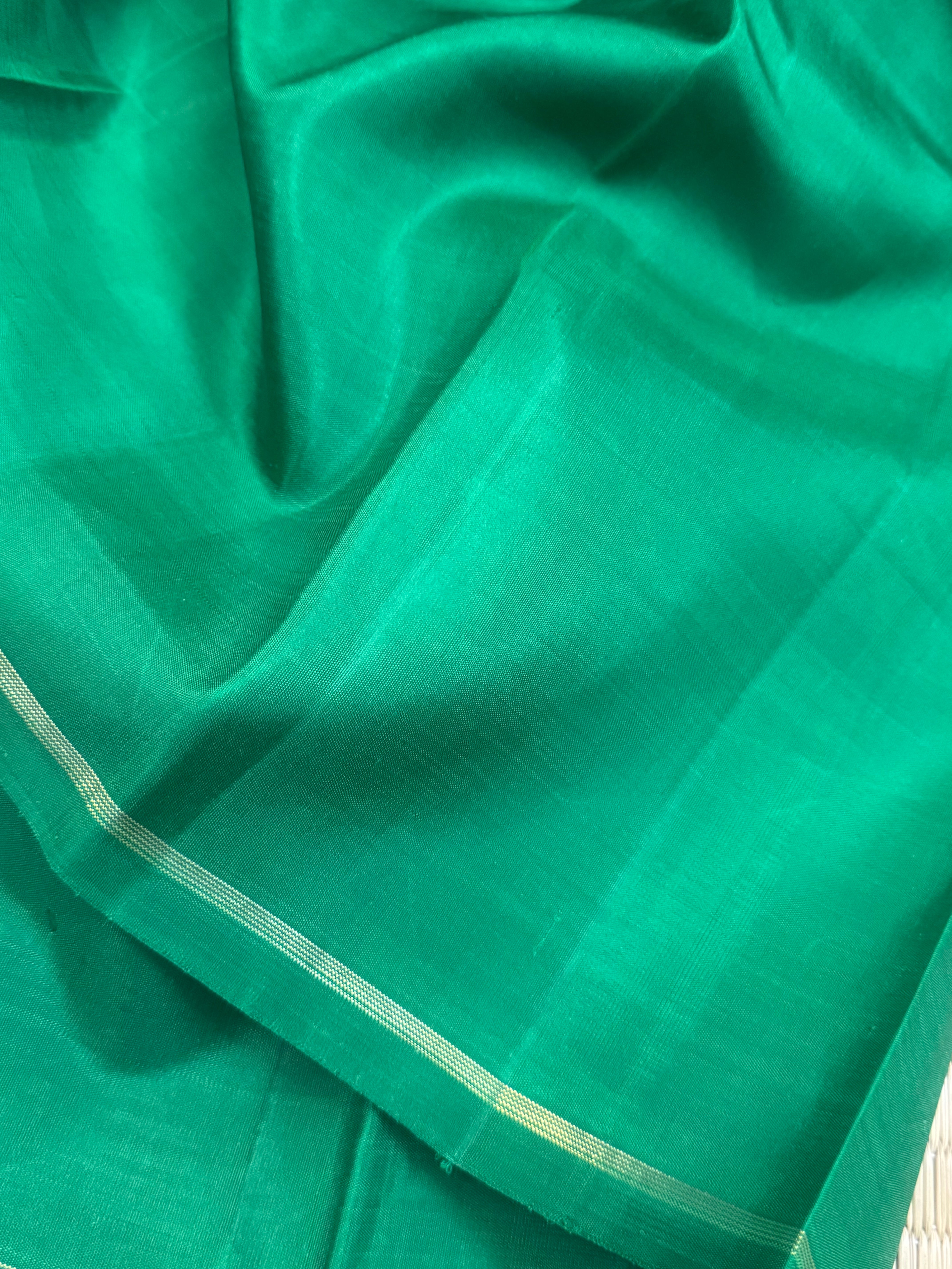 Orange Butta Borderless kanjipuram silk saree