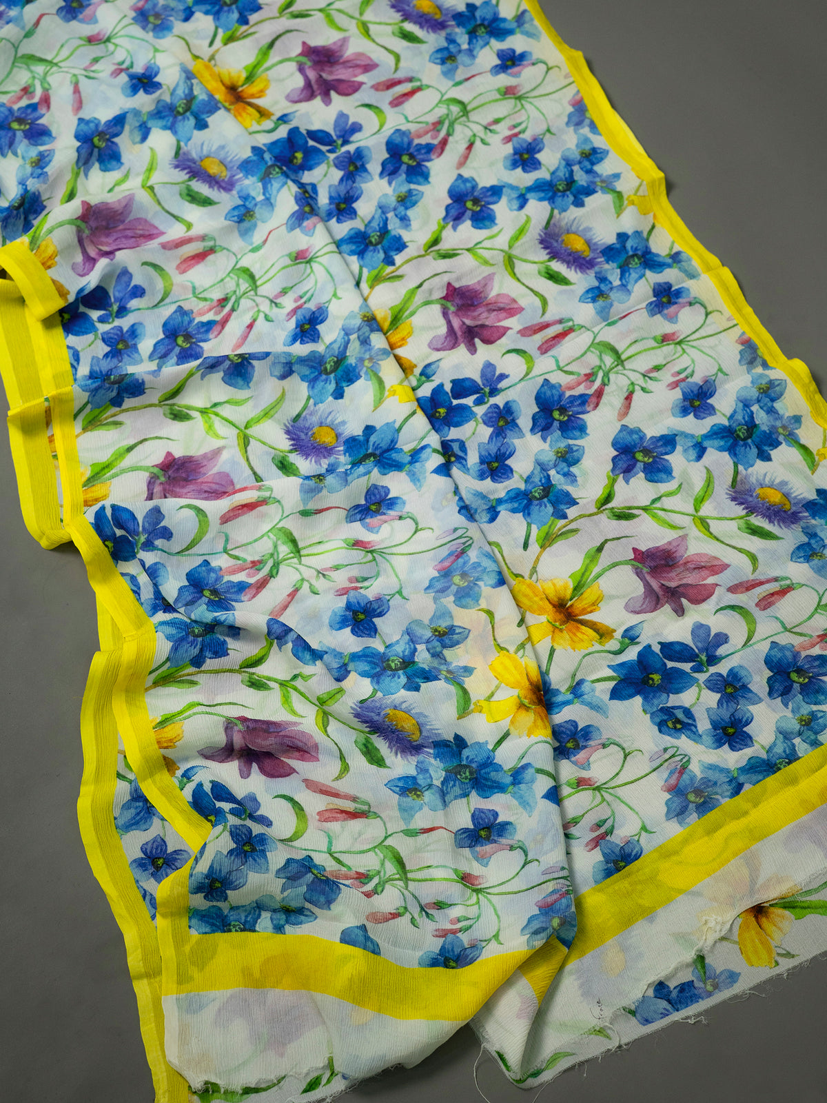 Premium chiffon Silk Saree CLSA12496