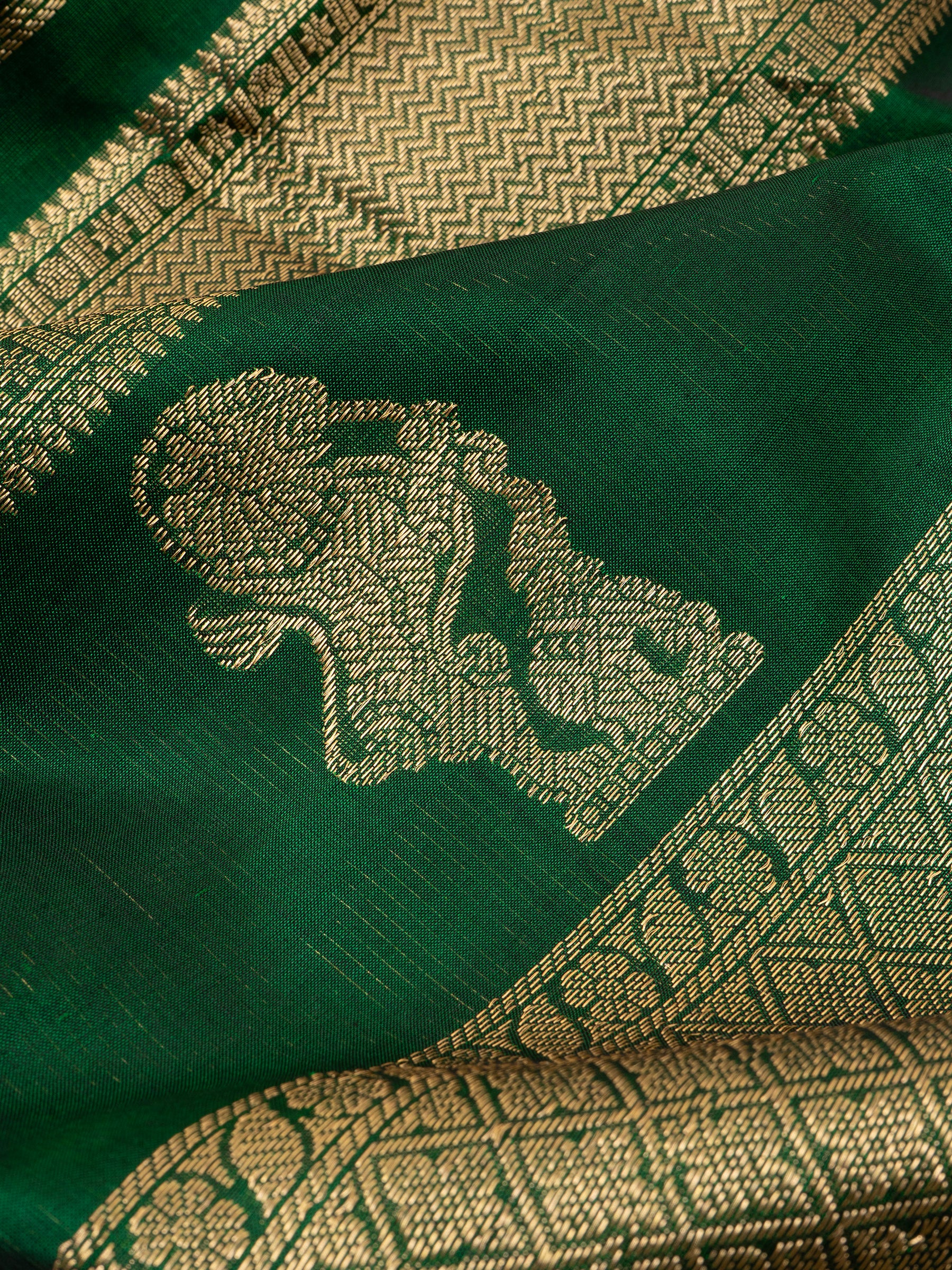 Silk Cotton Saree CLSA8591