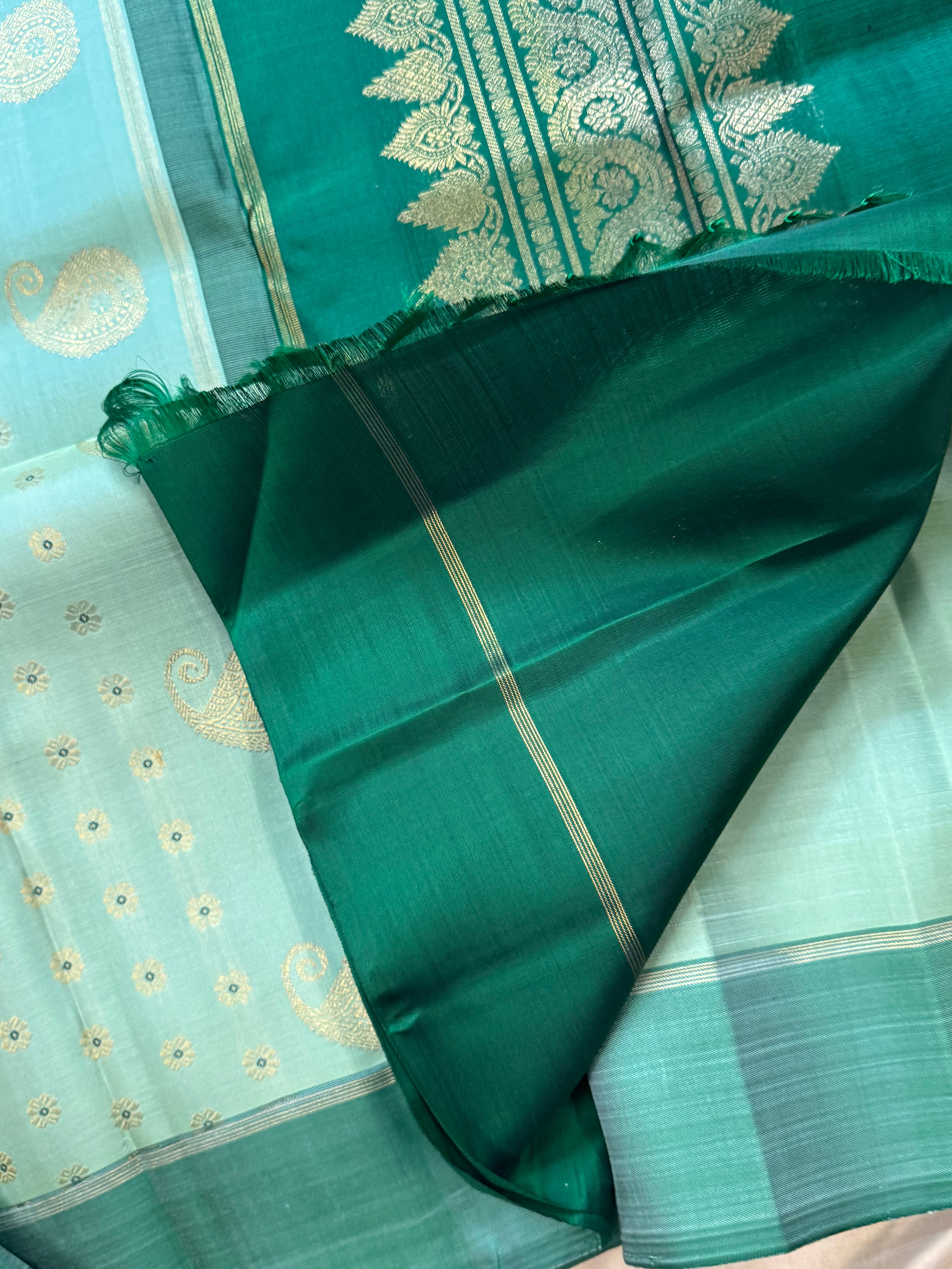 Pista green meenakari Thodar butta / Kanjipuram silk