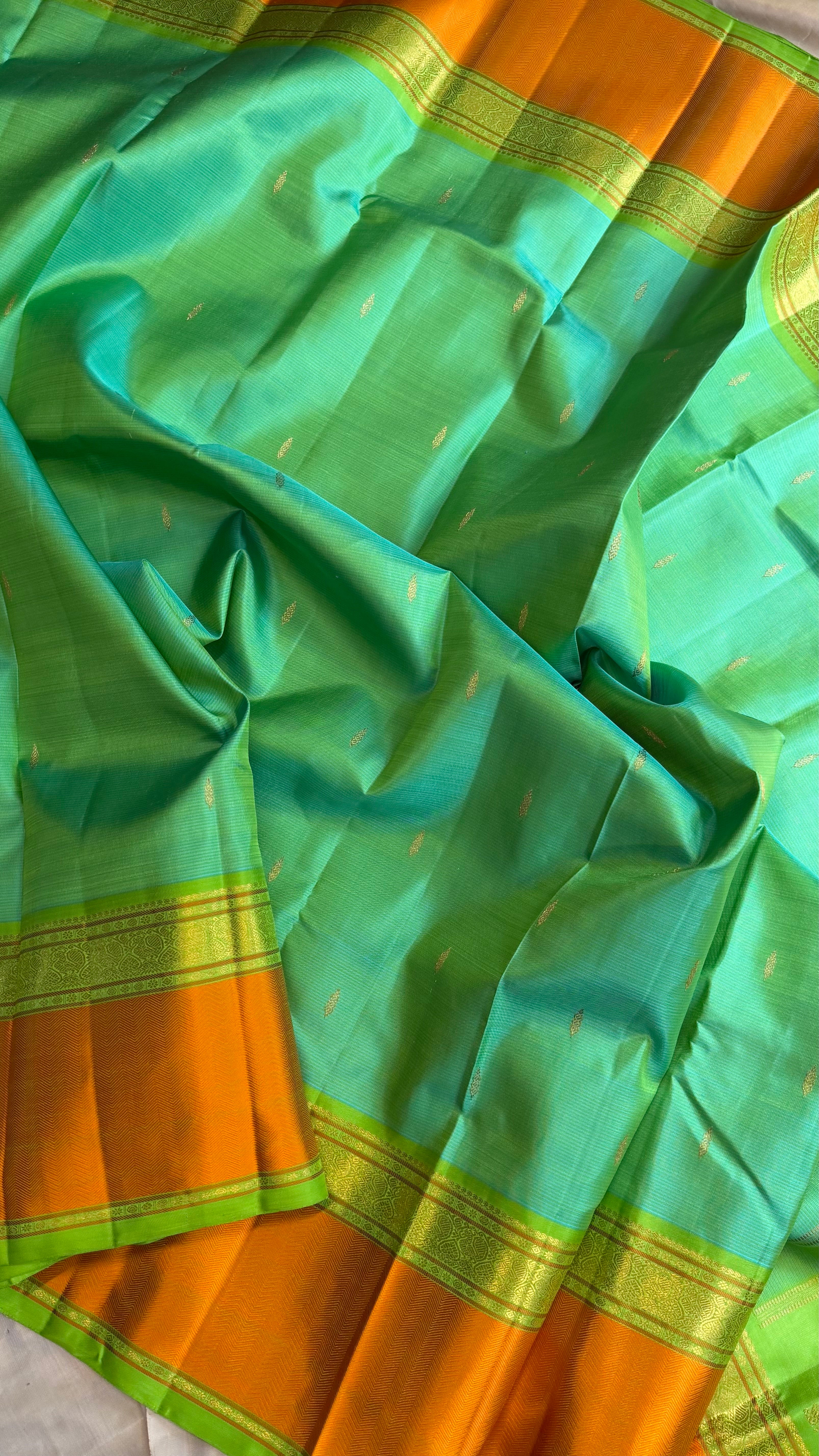 Master weaver - Green shot parrot green / Kanjipuram Silk