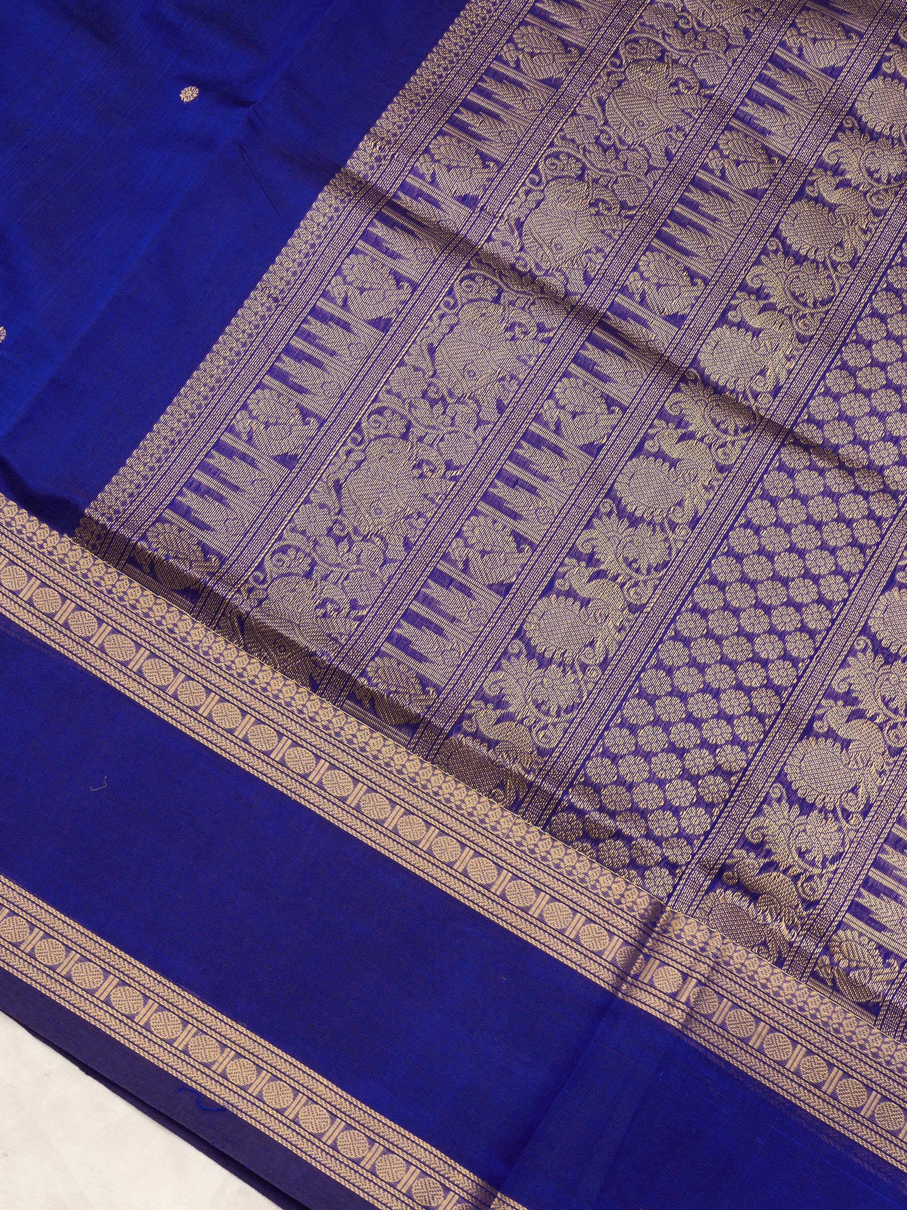 Royal blue border butta/ Silk Cotton Saree CLSA10237