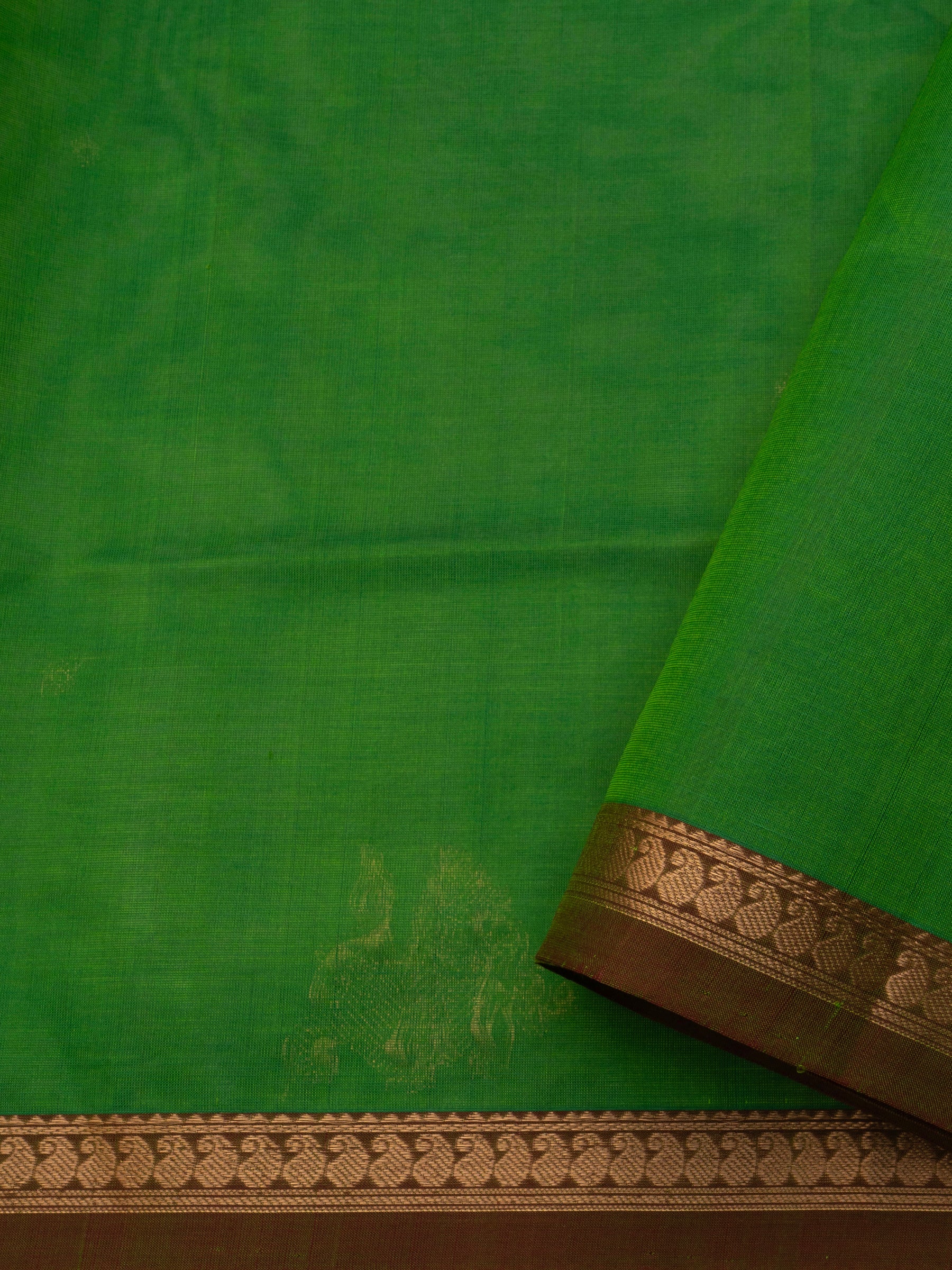 Parrot green small border/ Silk Cotton Saree CLSA10211