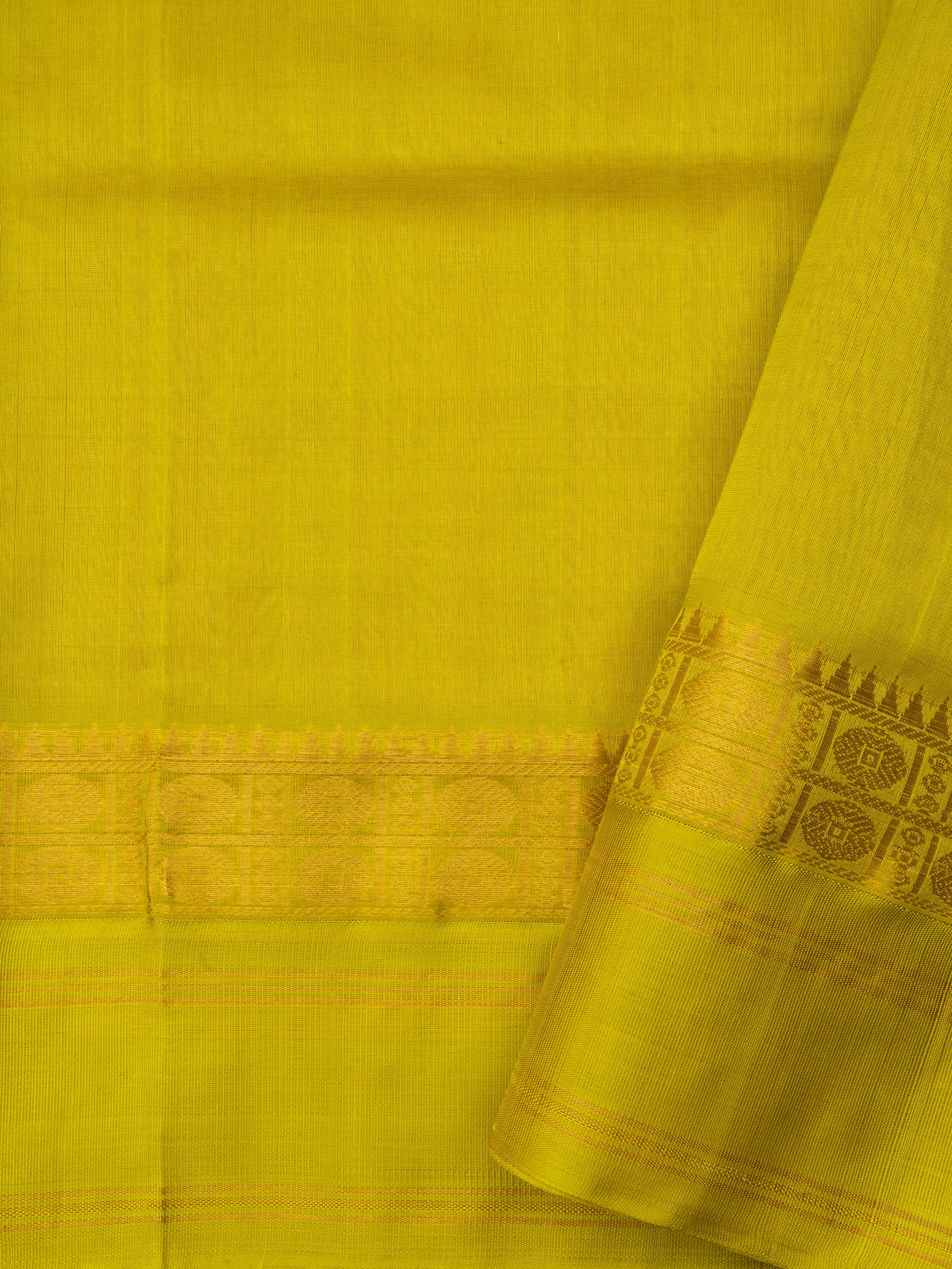 Creme and lemon green / Silk Cotton Saree CLSA10437