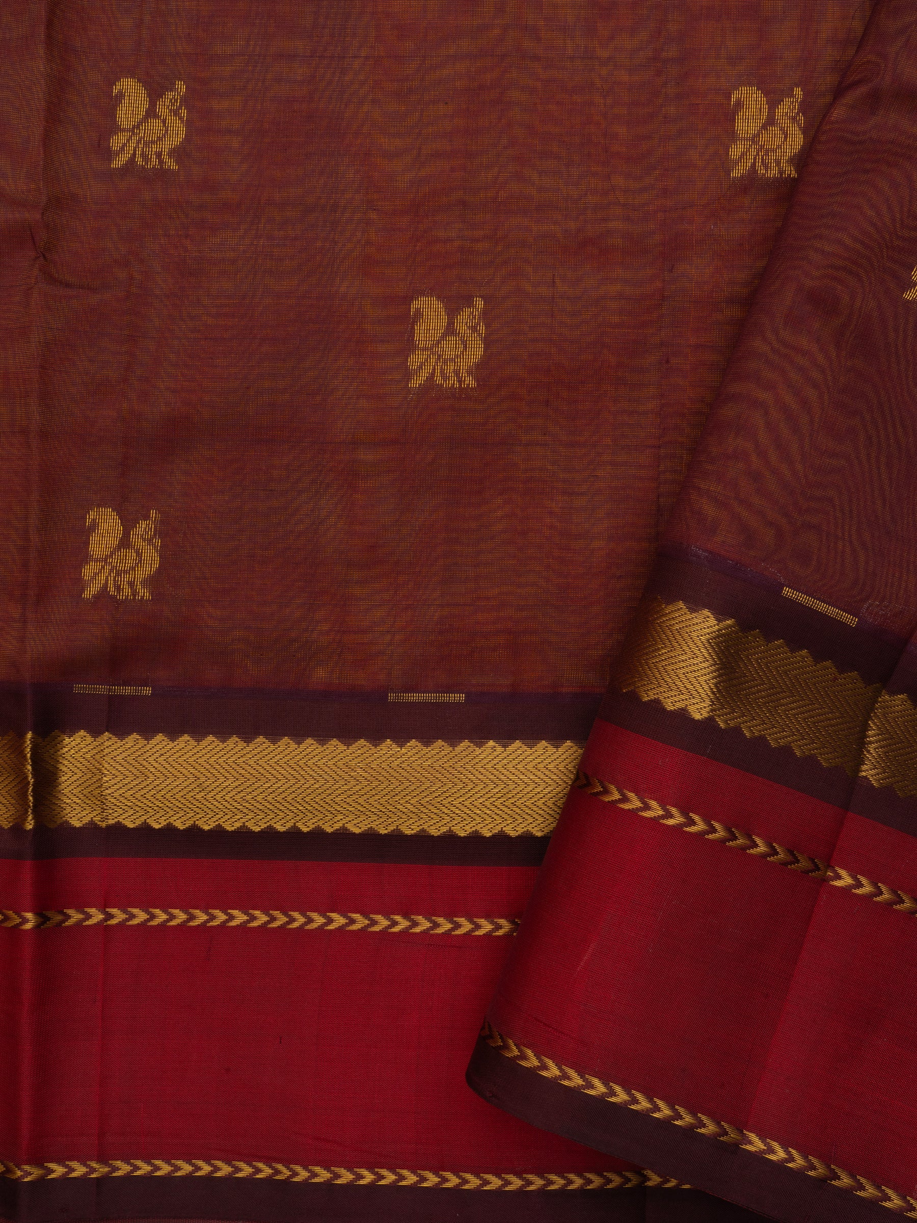 Silk Cotton Saree CLSA10446