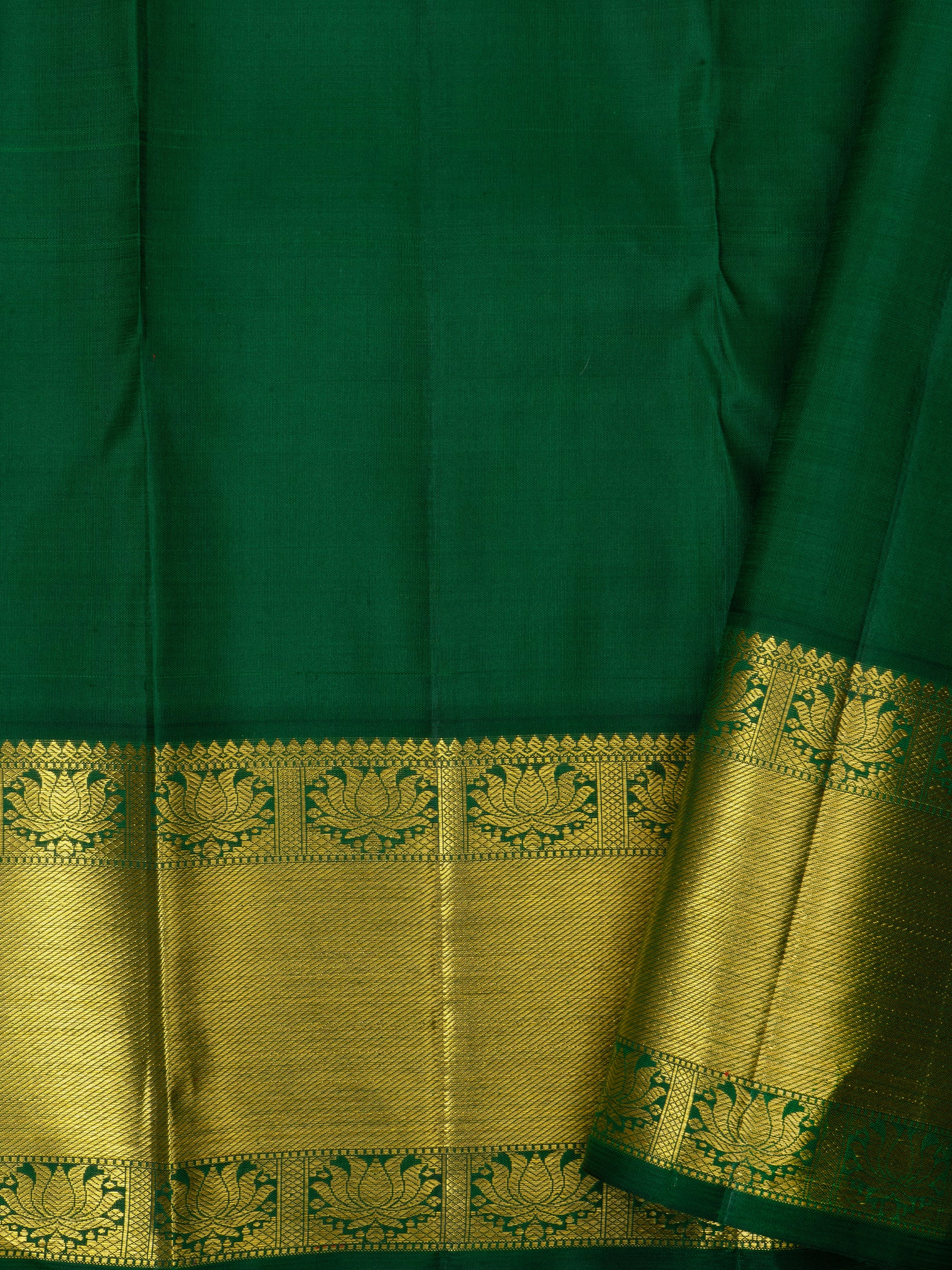 Mustard yellow Korvai : Arani Silk Saree CLSA6697