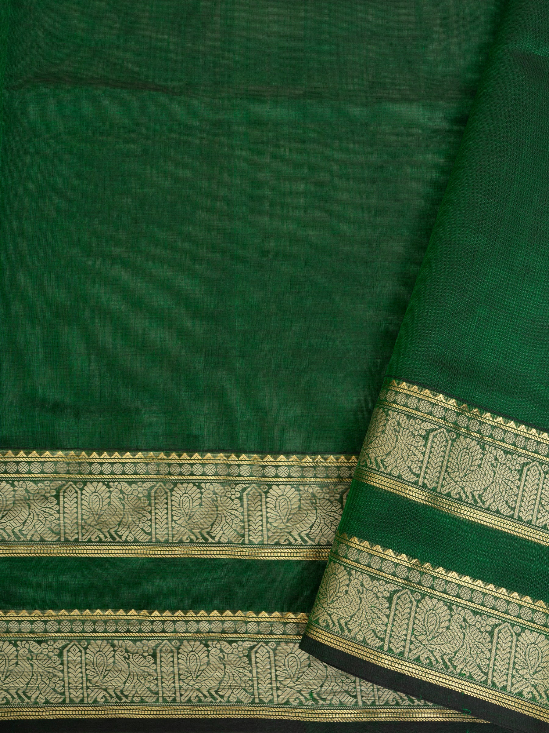 Silk Cotton Saree CLSA6439