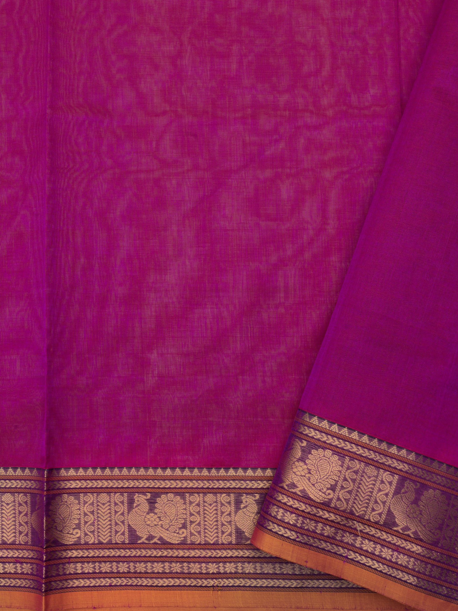Silk Cotton Saree CLSA8564