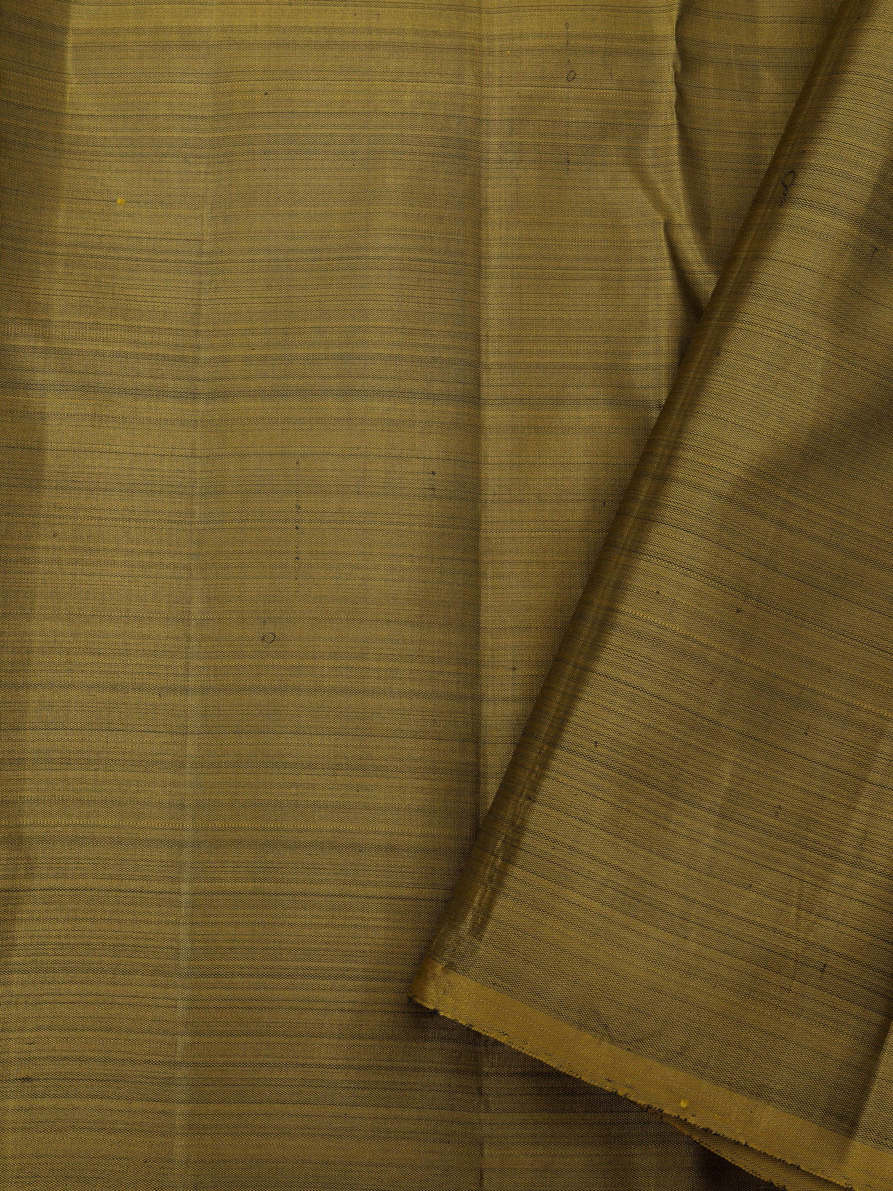 Temple Border Arani Silk Saree CLSA9379