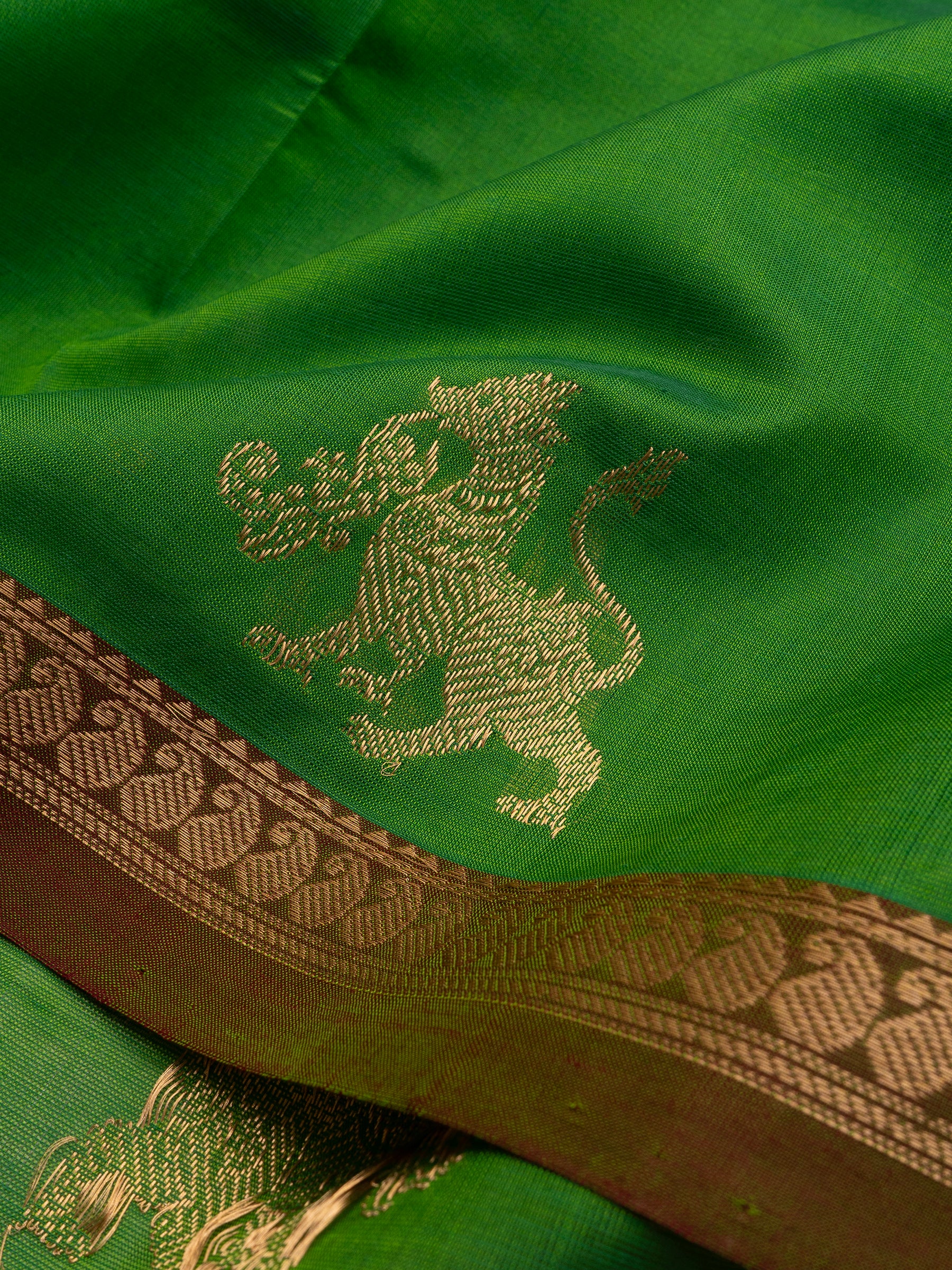 Parrot green small border/ Silk Cotton Saree CLSA10211