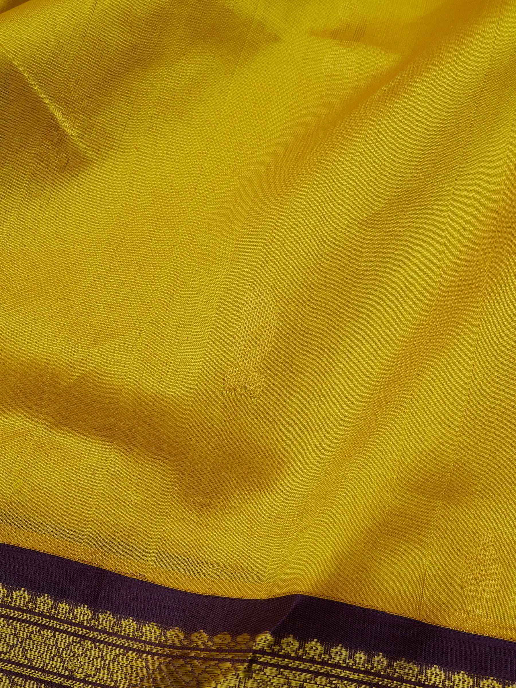 Lime yellow and dark purple korvai /Silk Cotton Saree CLSA10431