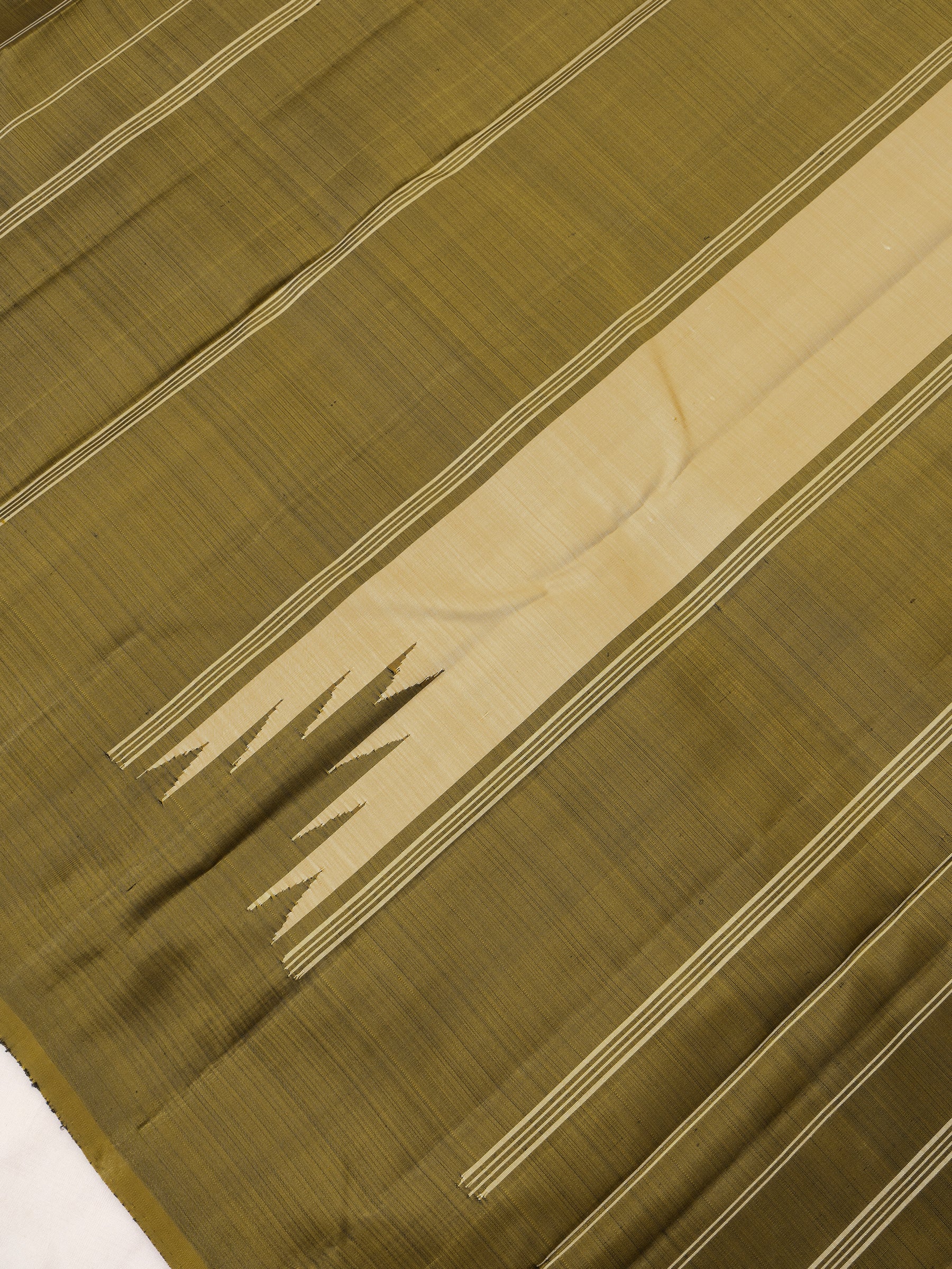 Temple Border Arani Silk Saree CLSA9379
