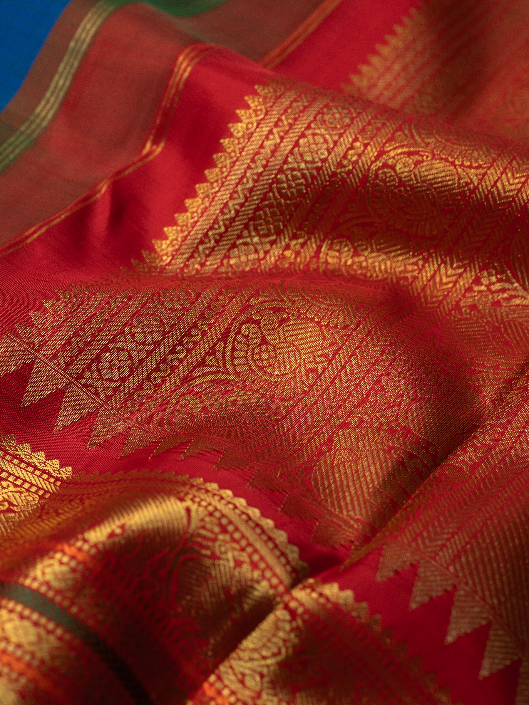 Mayilkazhuthu body and varisapet border Korvai / Kanjipuram Silk Saree CLSA