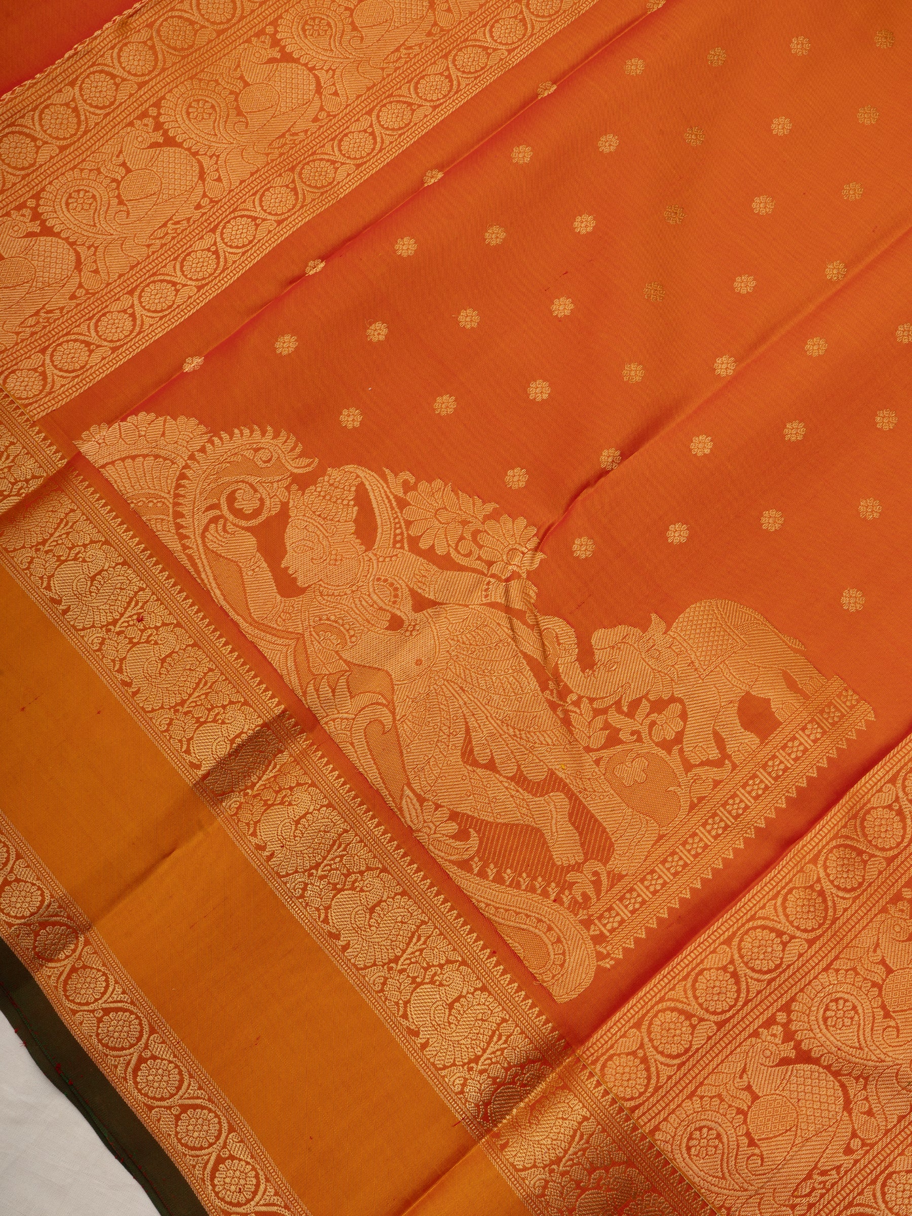 Orange rettapet border/ Special Edition Silk CLSA10196