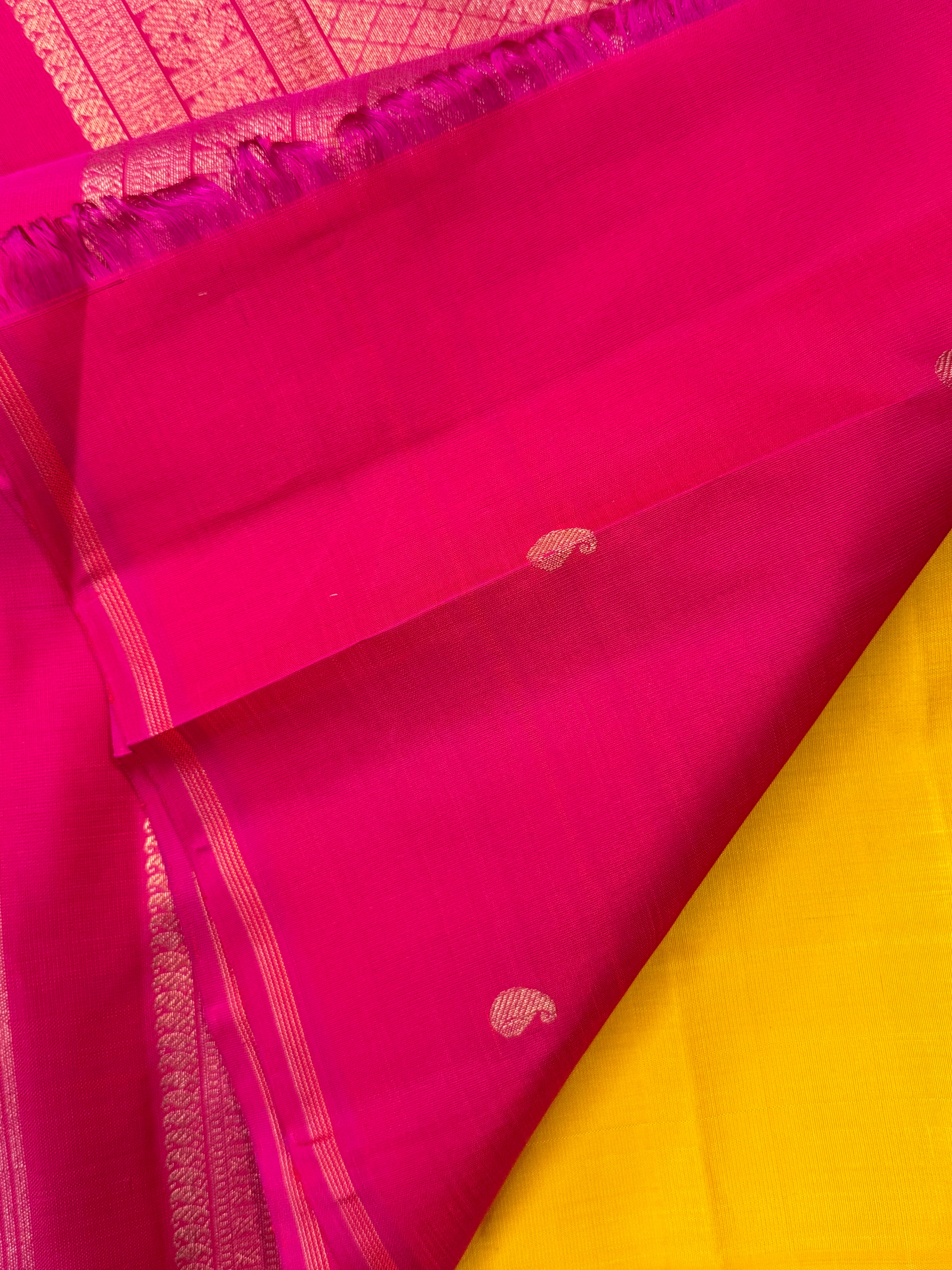 Yellow double color pallu borderless / Kanjipuram silk CL9976