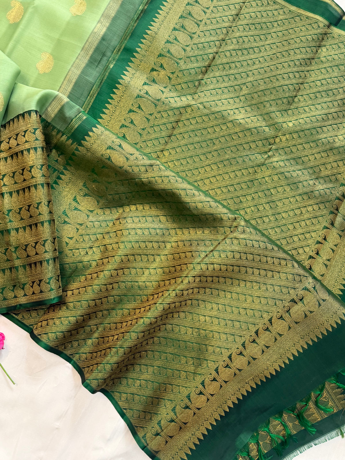 Organza Korvai / pure Zari Kanjipuram