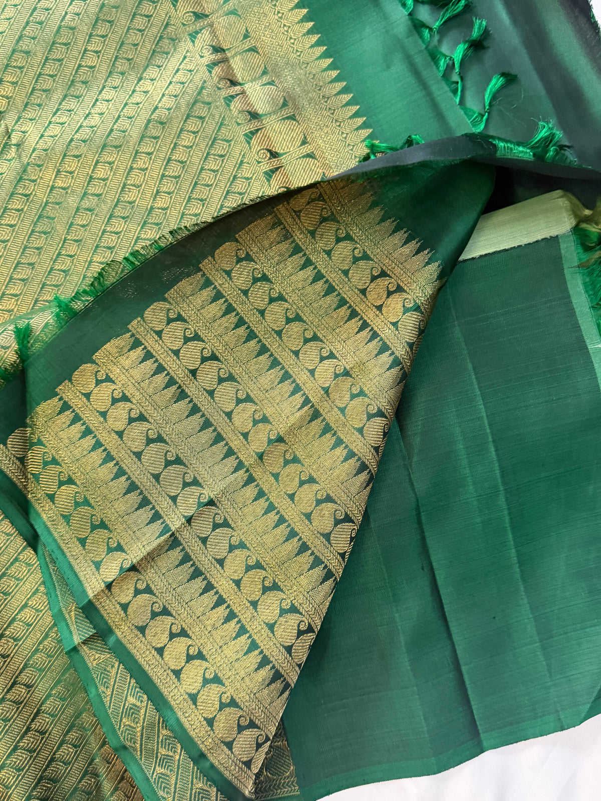 Organza Korvai / pure Zari Kanjipuram