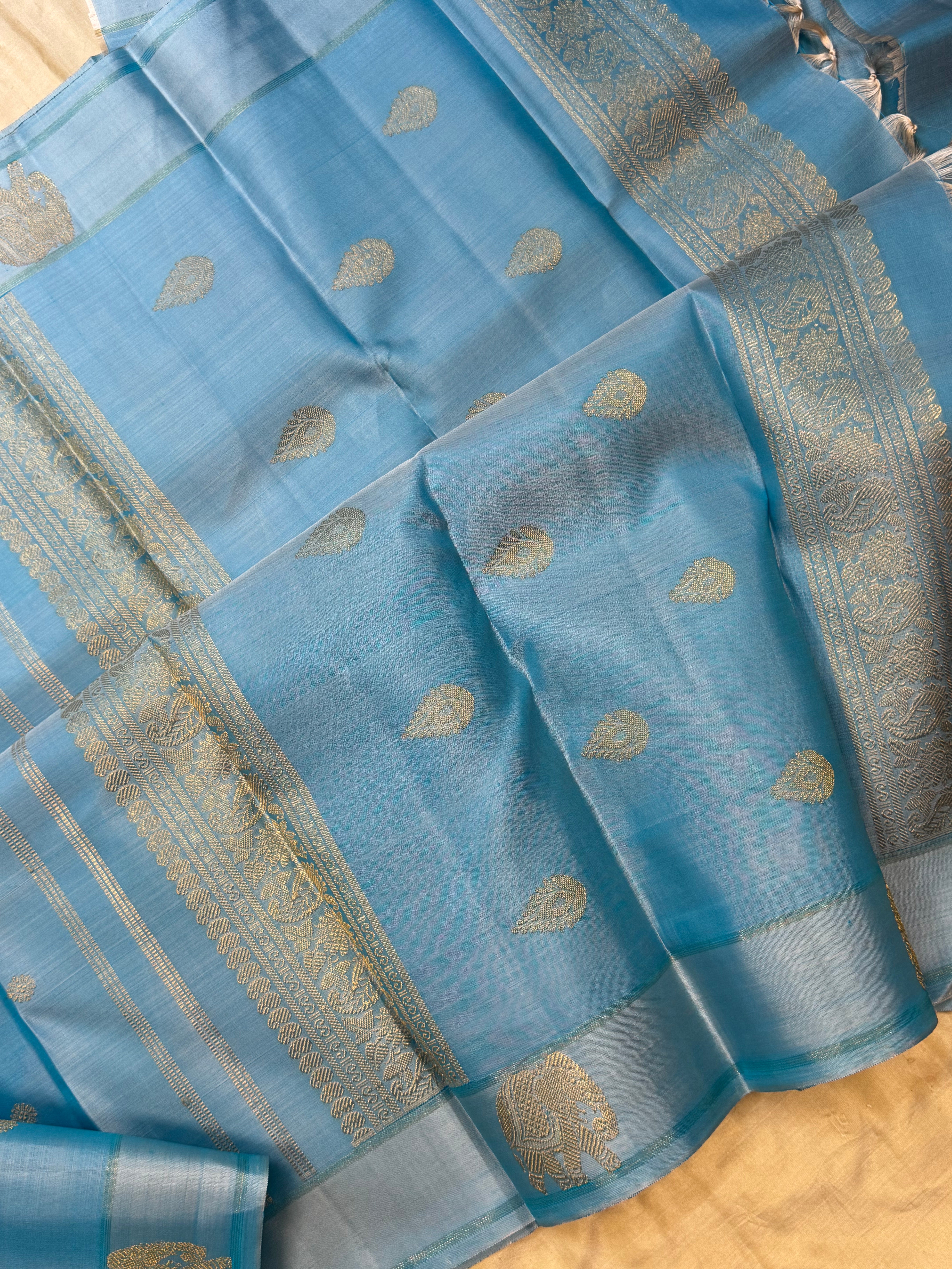 Powder blue yaanai pet  / kanjipuram silk