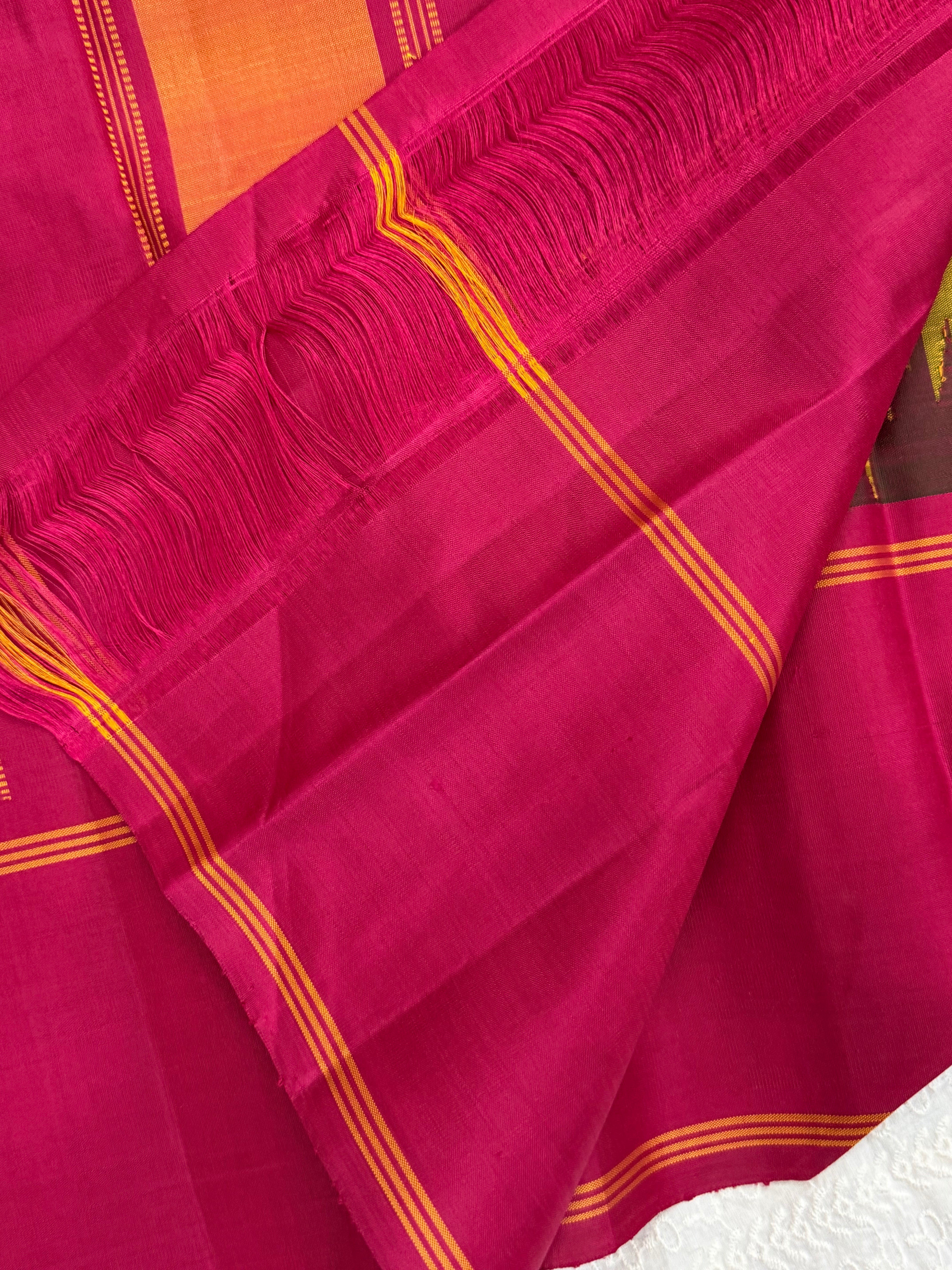 Paalum pazhamum kattam / Arani silk
