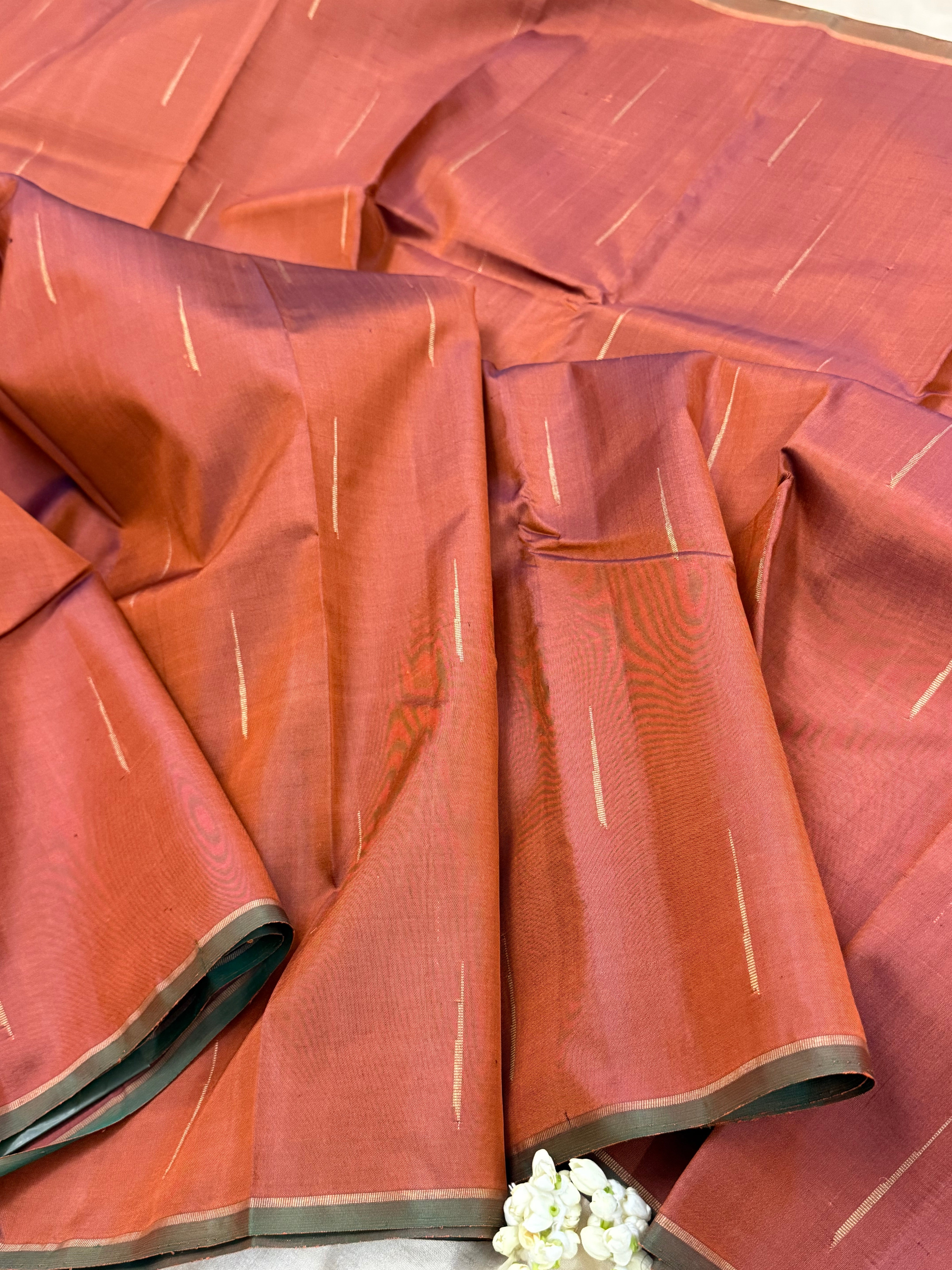 Chocolate brown malli moggu borderless/ Kanjipuram silk