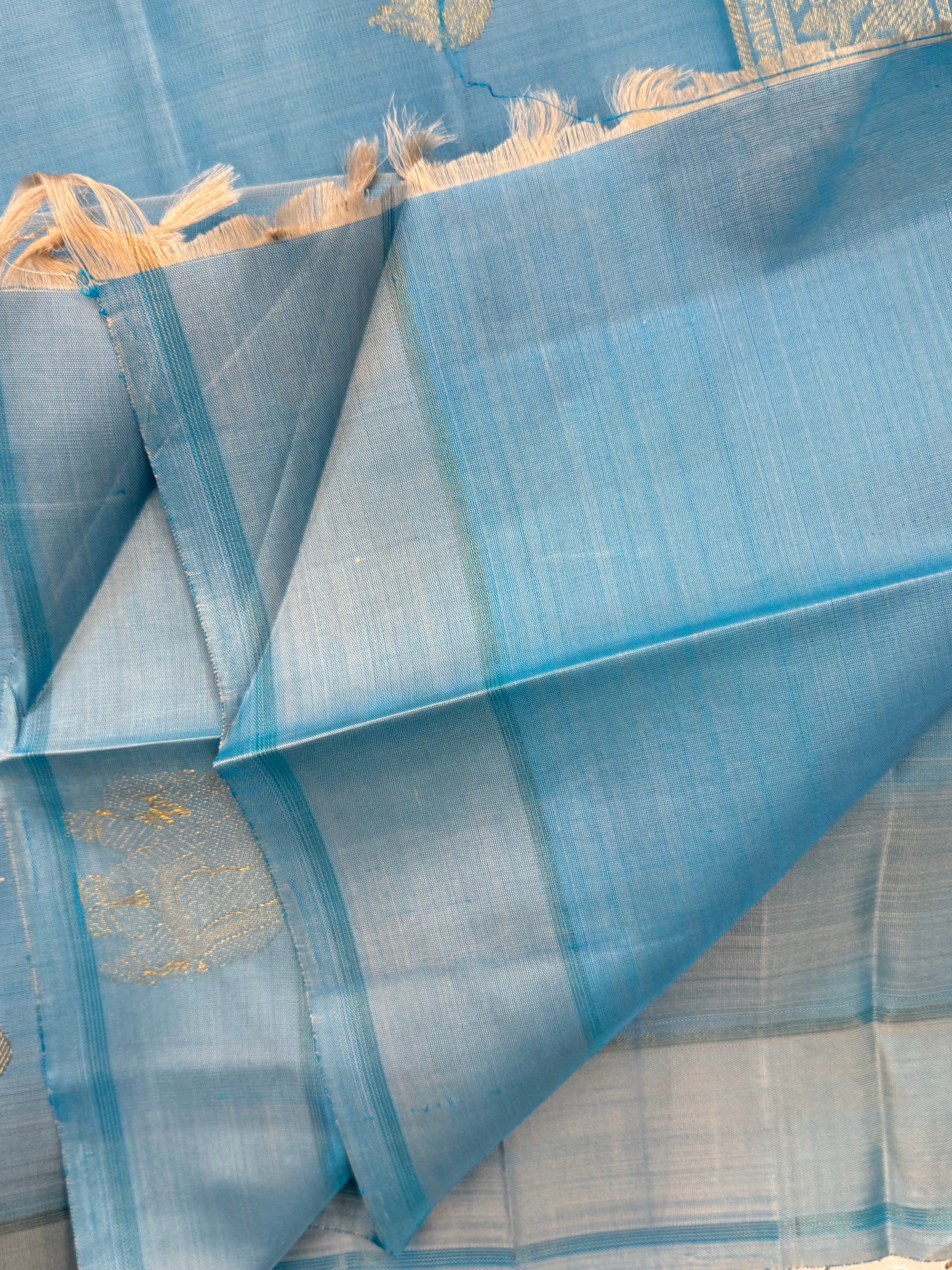 Powder blue border yaanai butta/ Kanjipuram silk CL9786