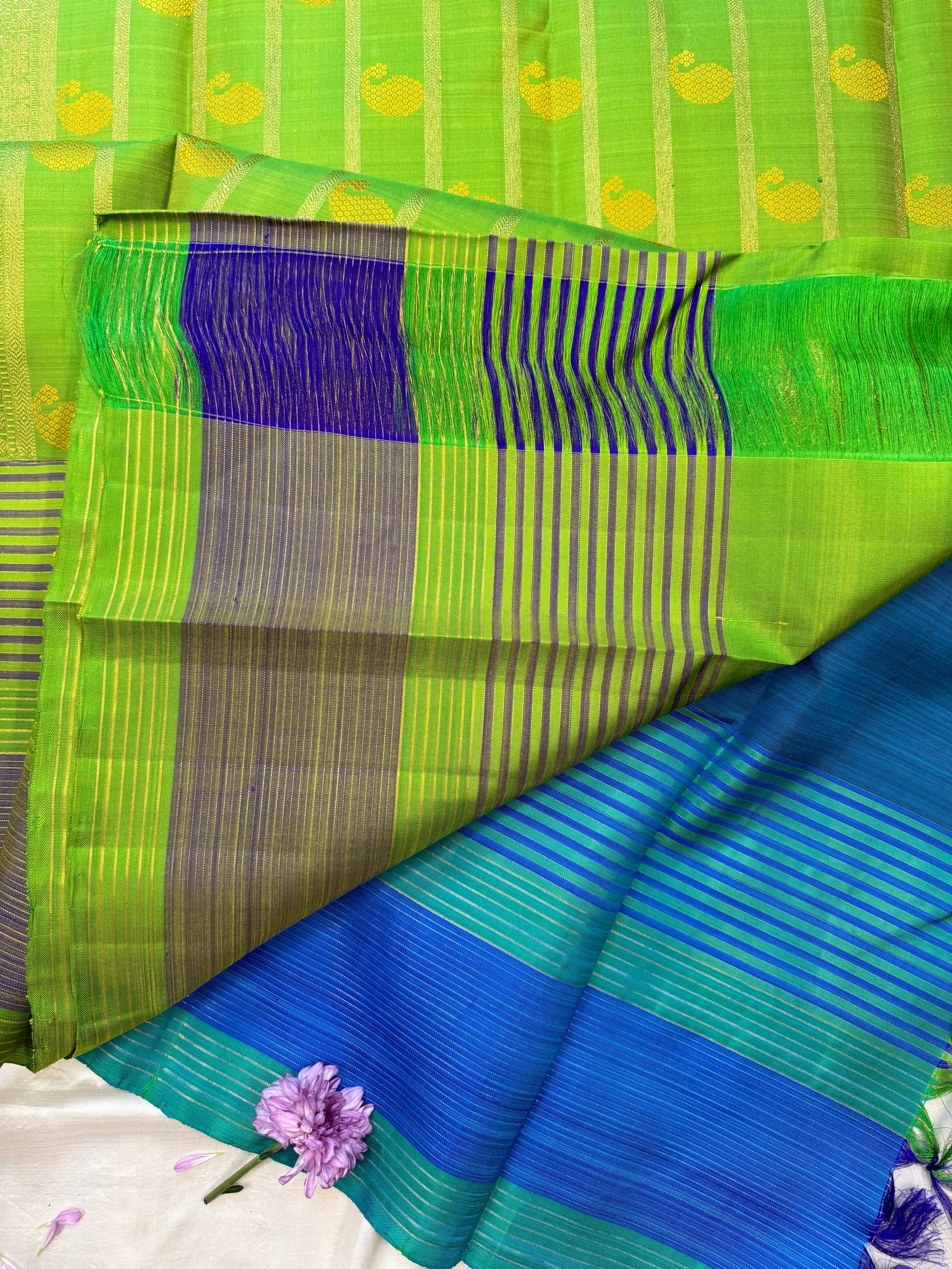 Mayilkazhuthu Punai pet / kanjipuram silk