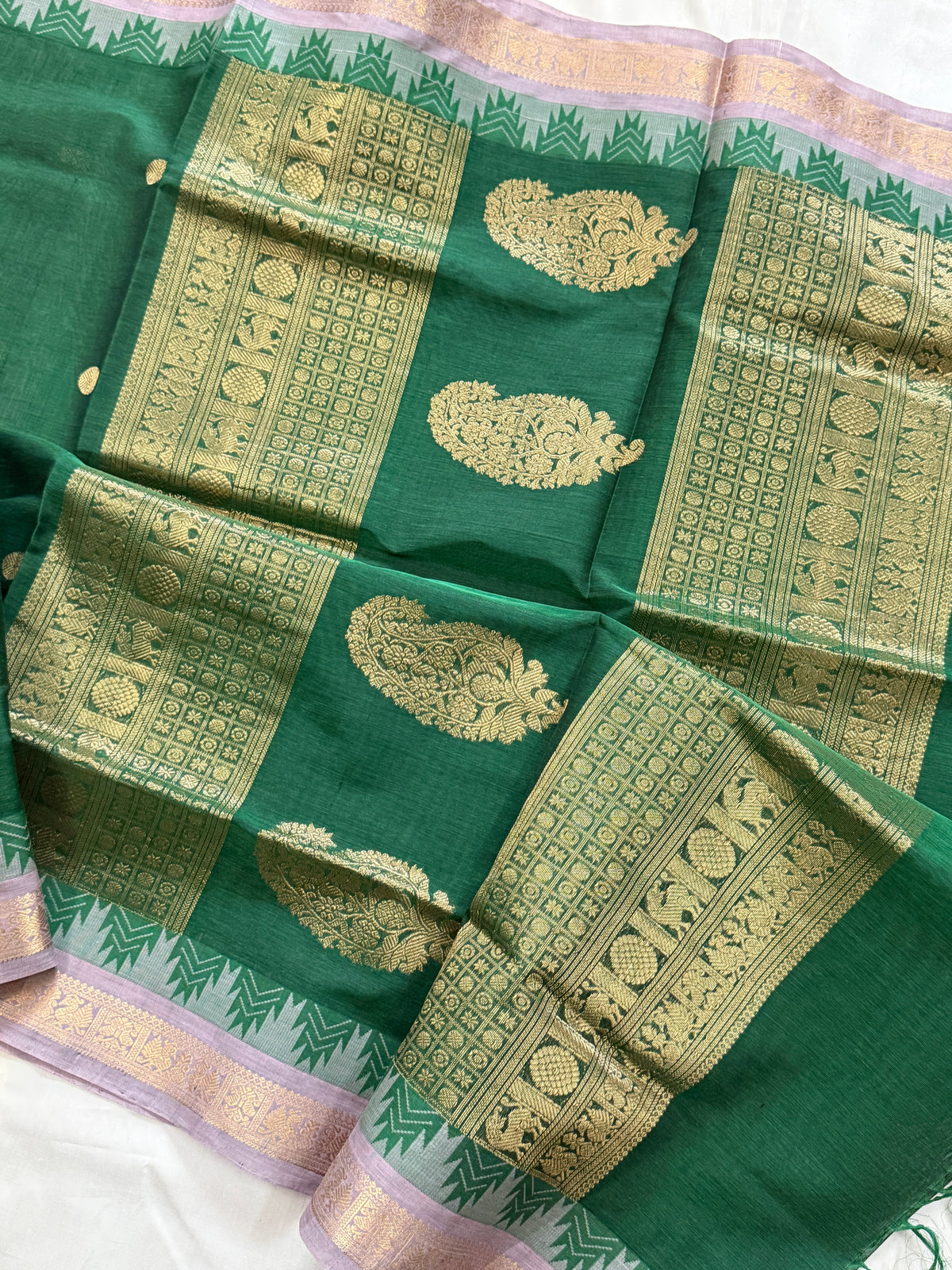 Forest green body with temple border silk cotton clsa 6597