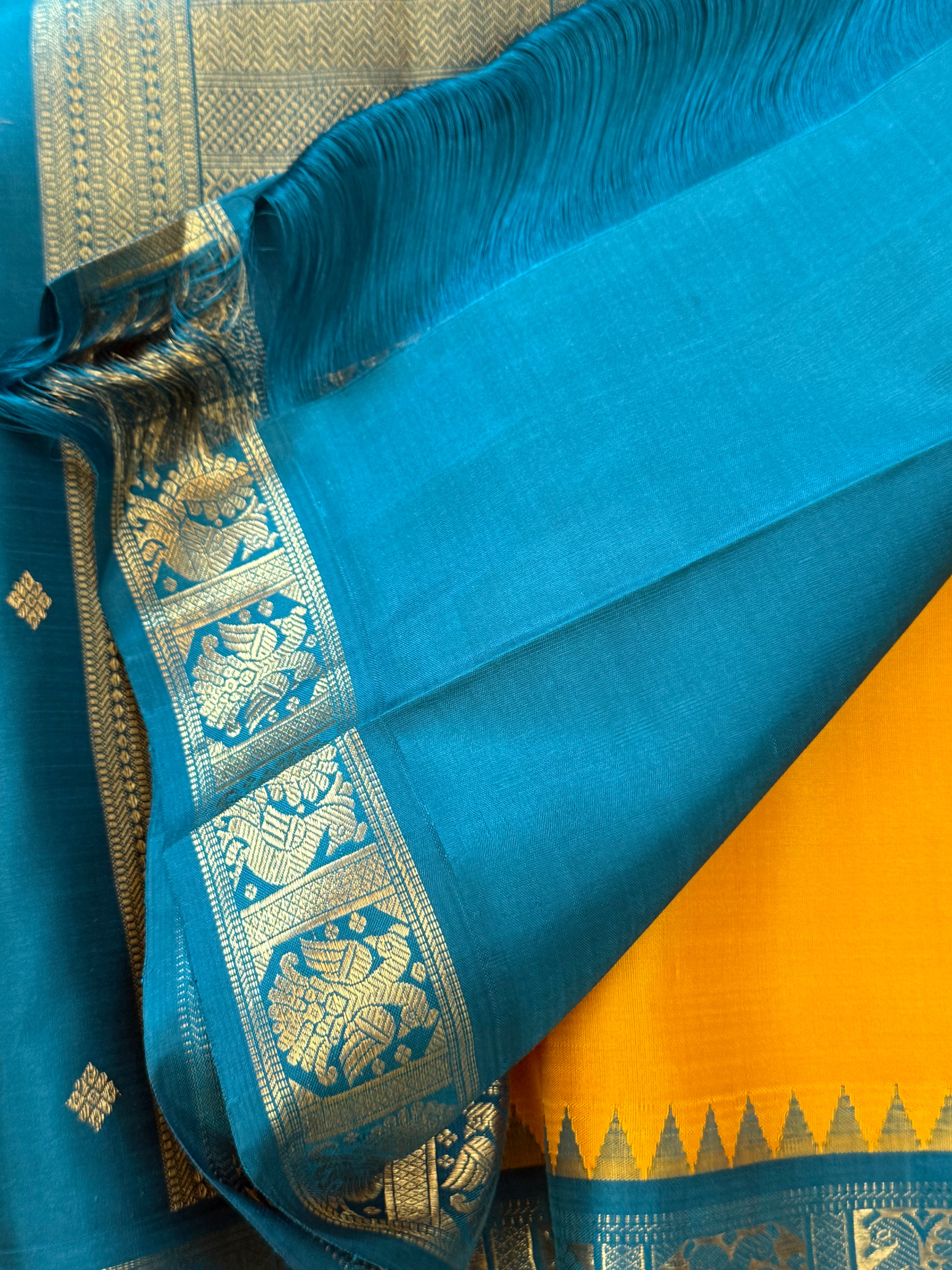 Mustard yellow Kai Korvai with unusual teal blue border/ kanjipuram silk CLSA 10321