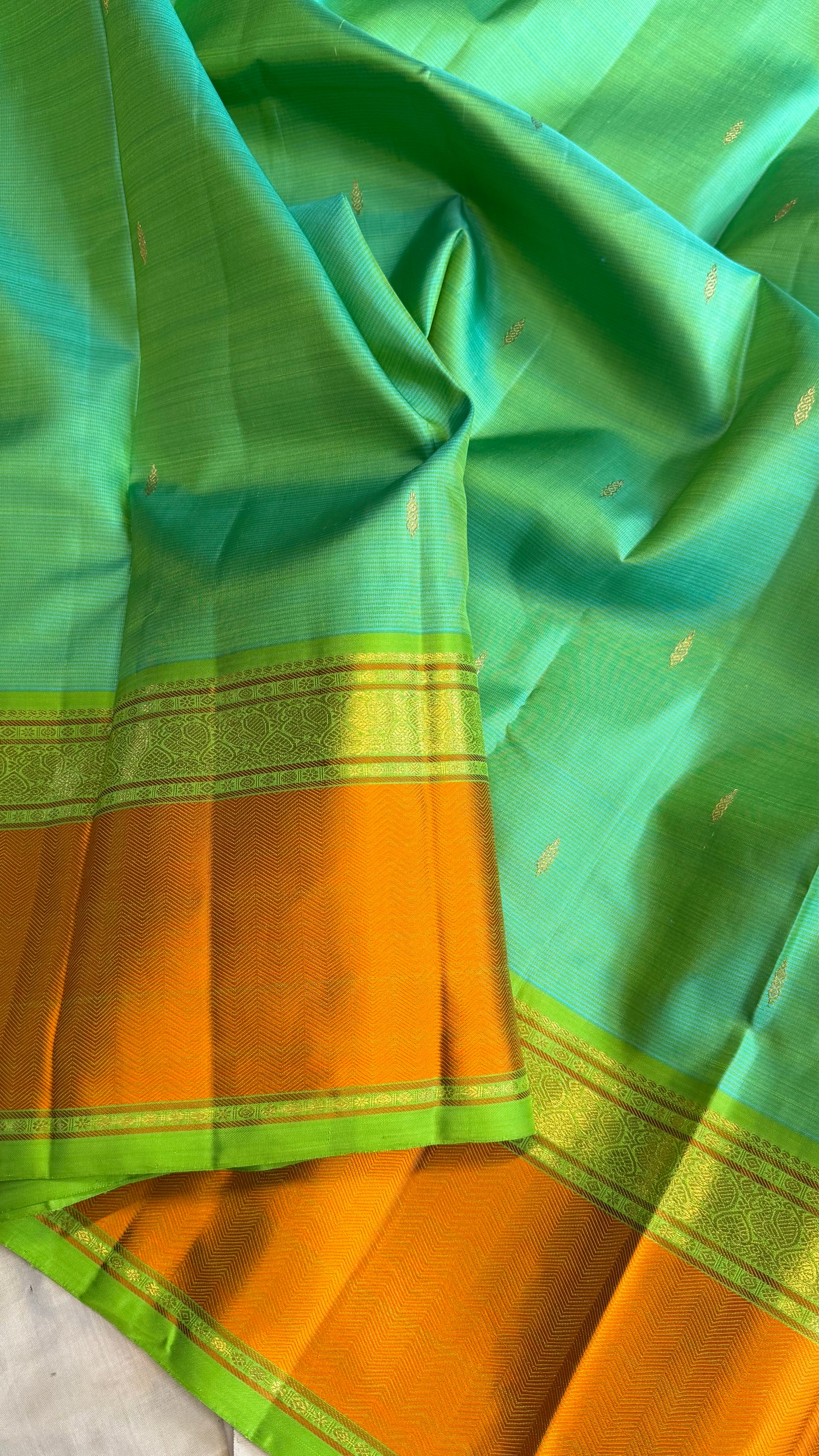 Master weaver - Green shot parrot green / Kanjipuram Silk