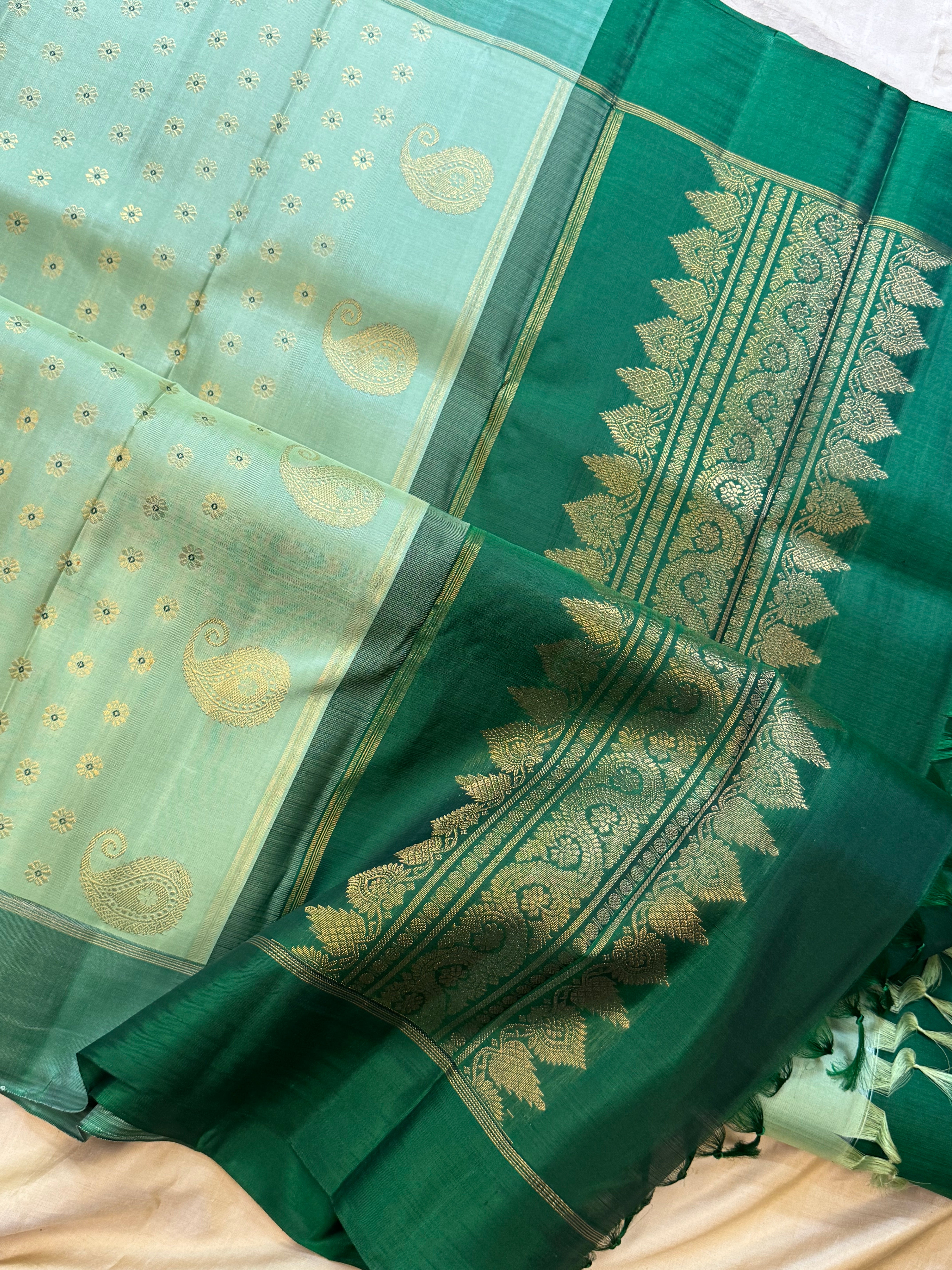 Pista green meenakari Thodar butta   / Kanjipuram silk