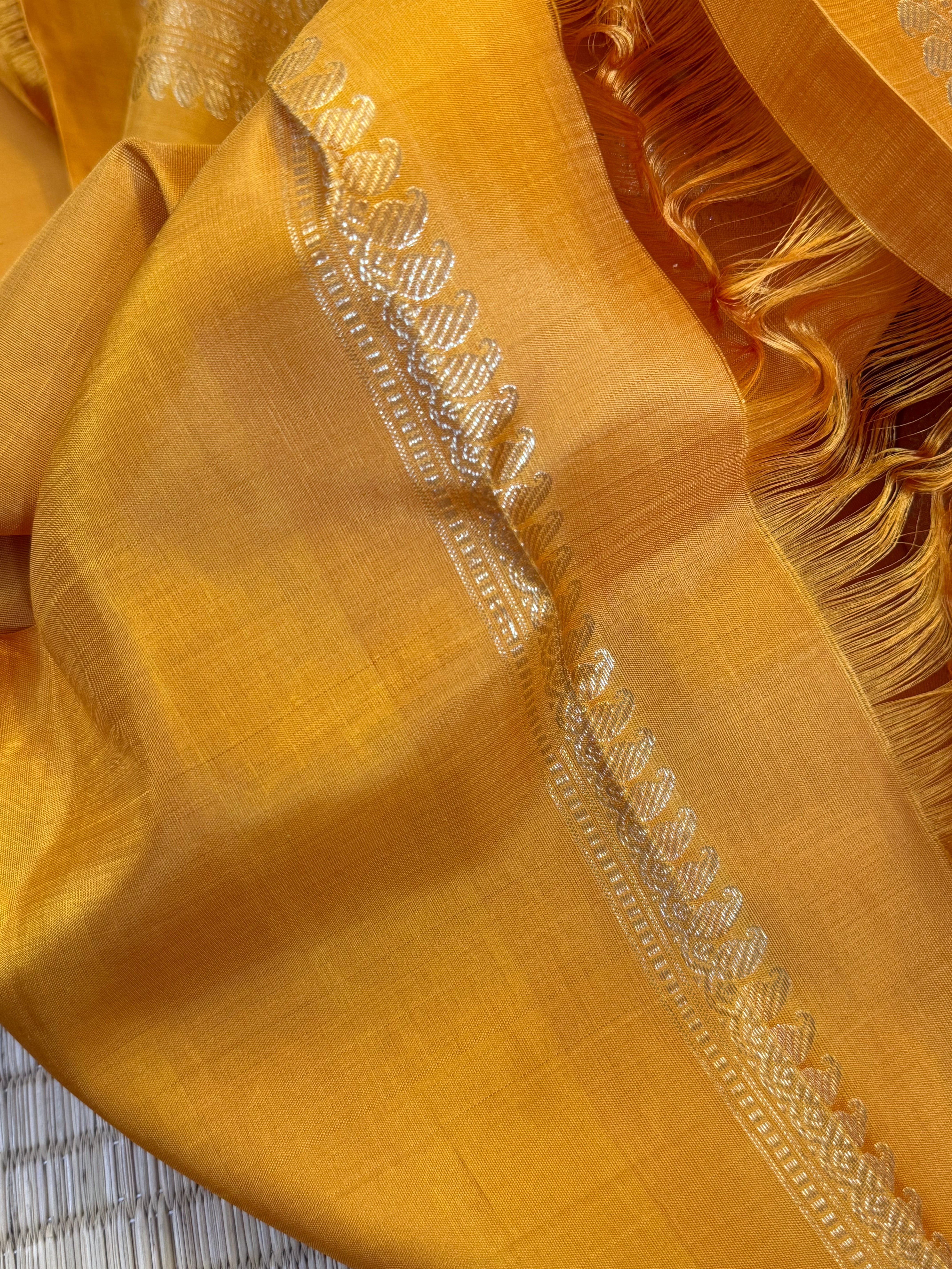 Off white with mustard Organza border less saree
