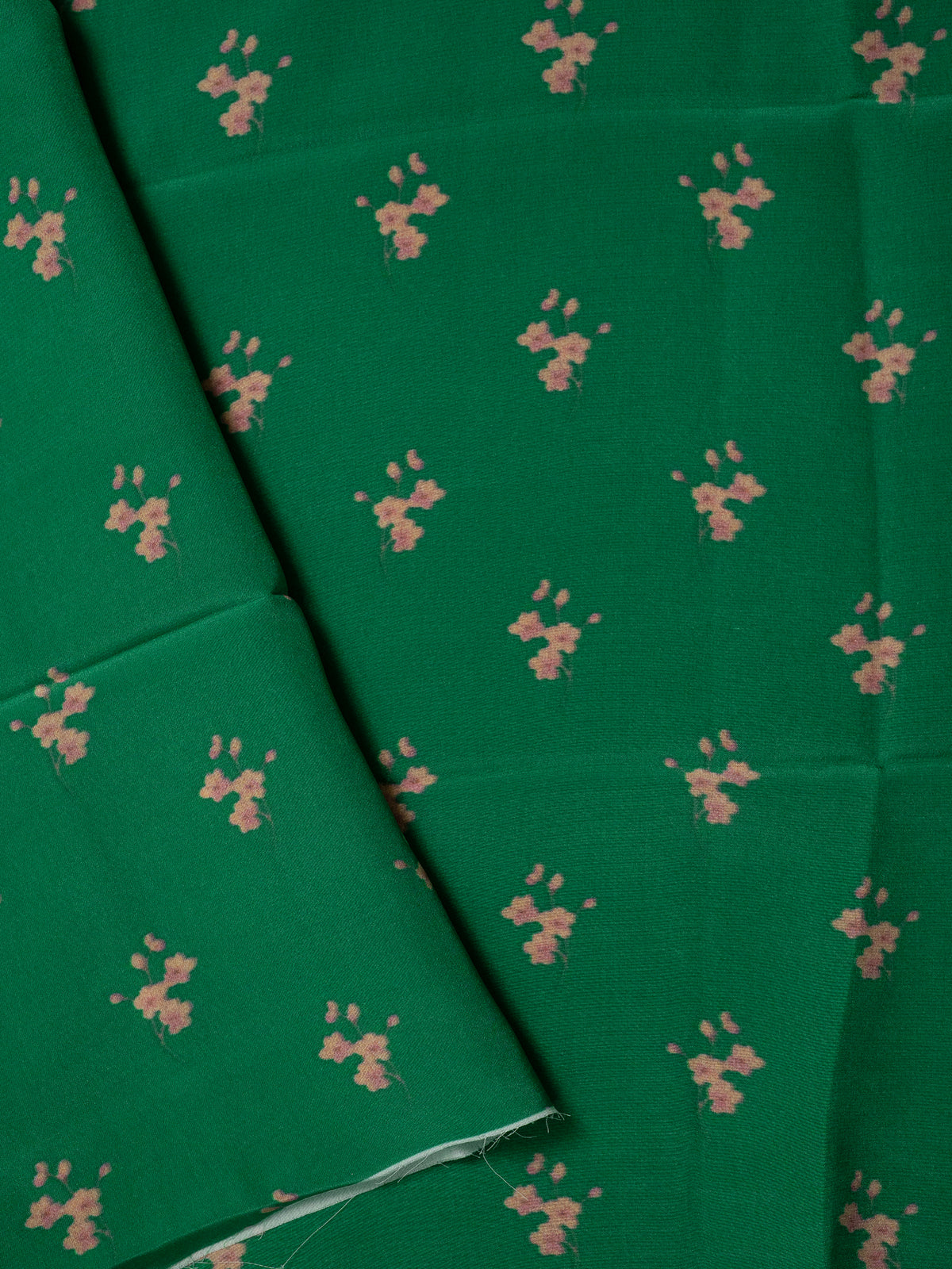 Premium chiffon  Silk Saree
 CLSA12505