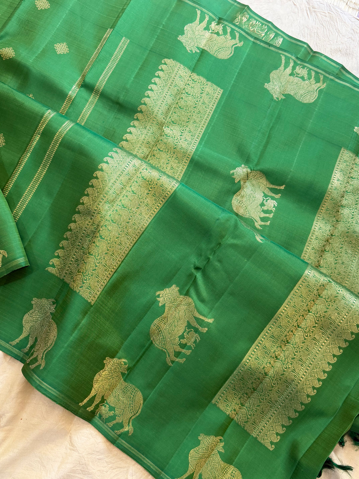 Komatha border Kolam Butta - pure Zari Kanjipuram silk